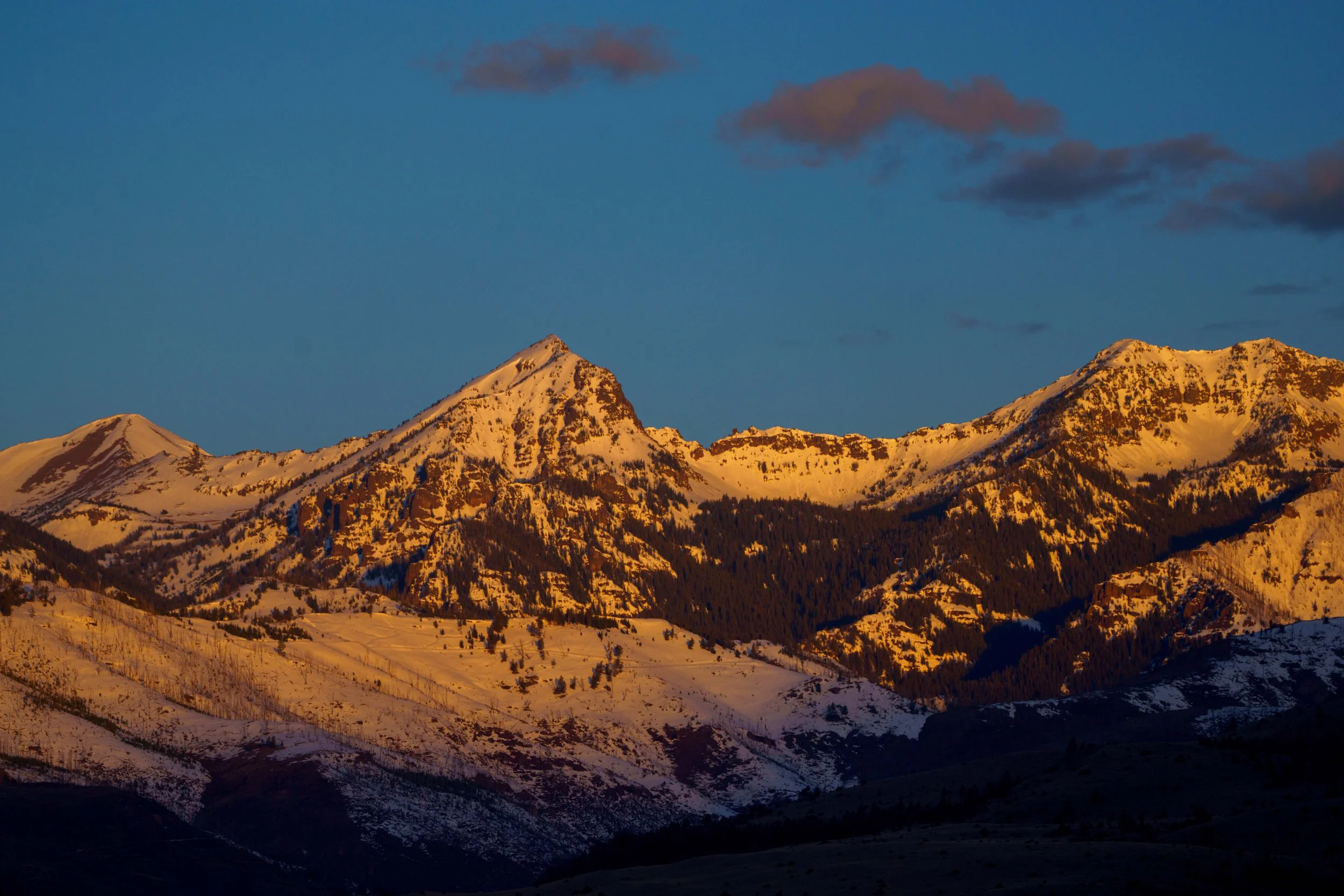 260322ThurlkillSageLodge-120 copy.jpg