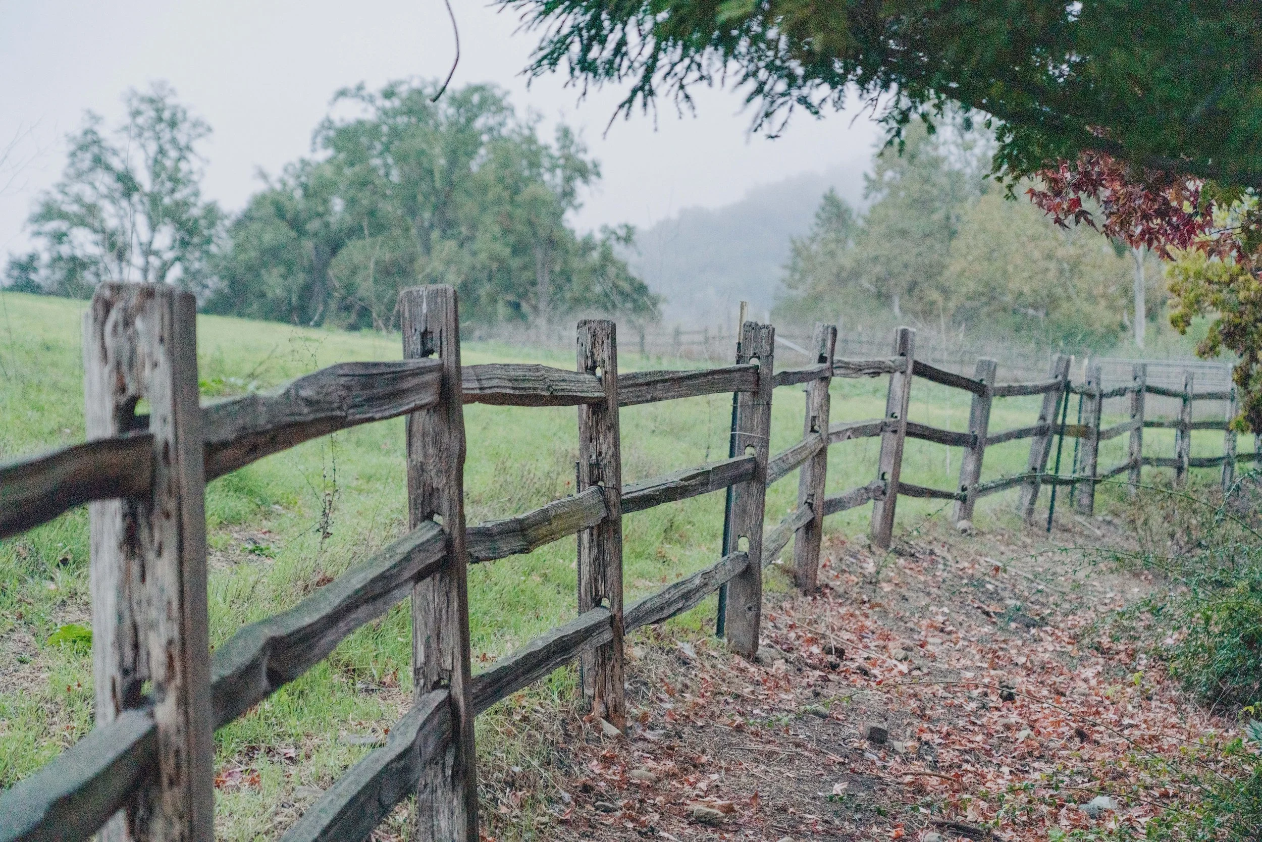 TheAlisalCaliforniaLuxuryRanch-1 copy.jpg