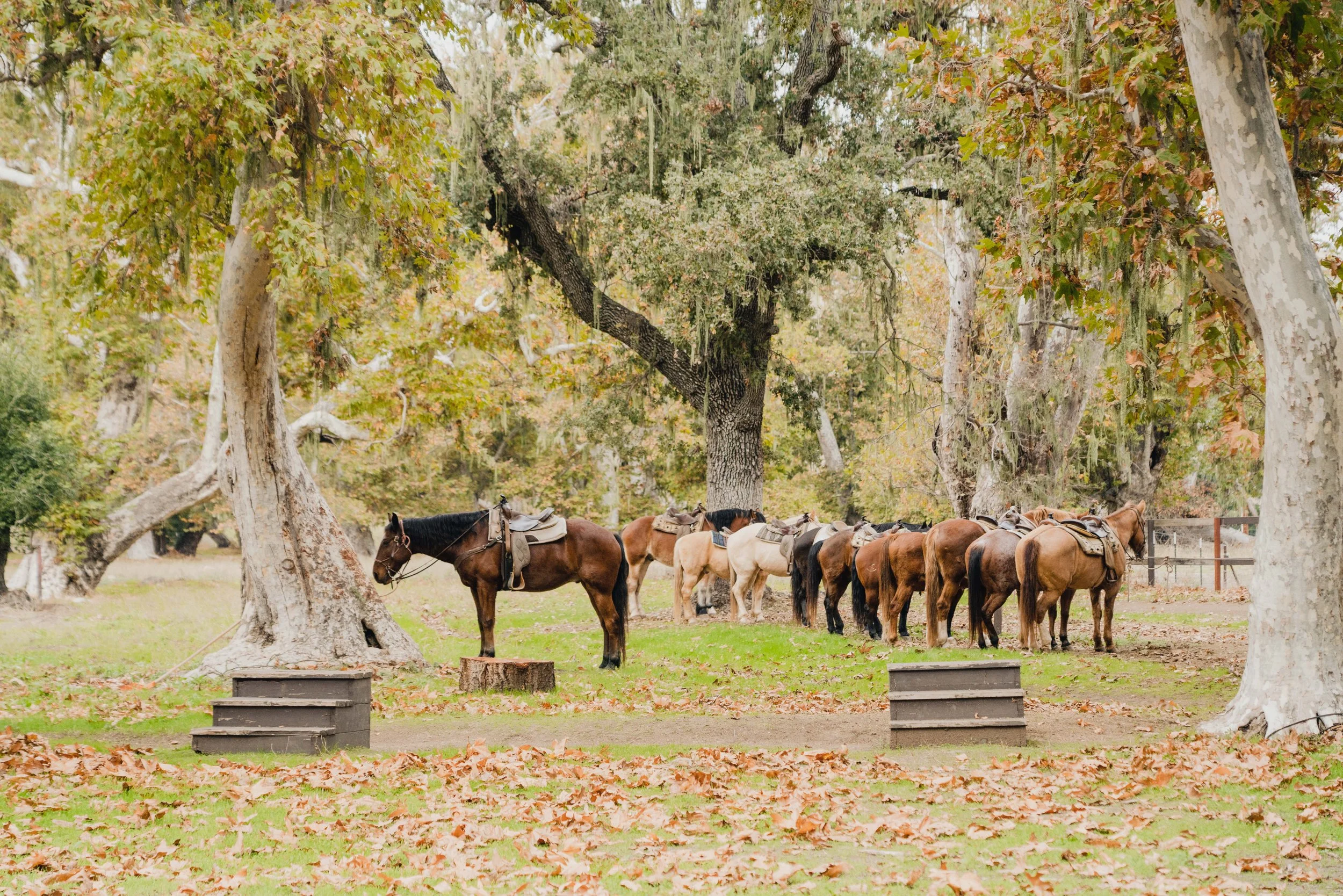 TheAlisalCaliforniaLuxuryRanch-54 copy.jpg