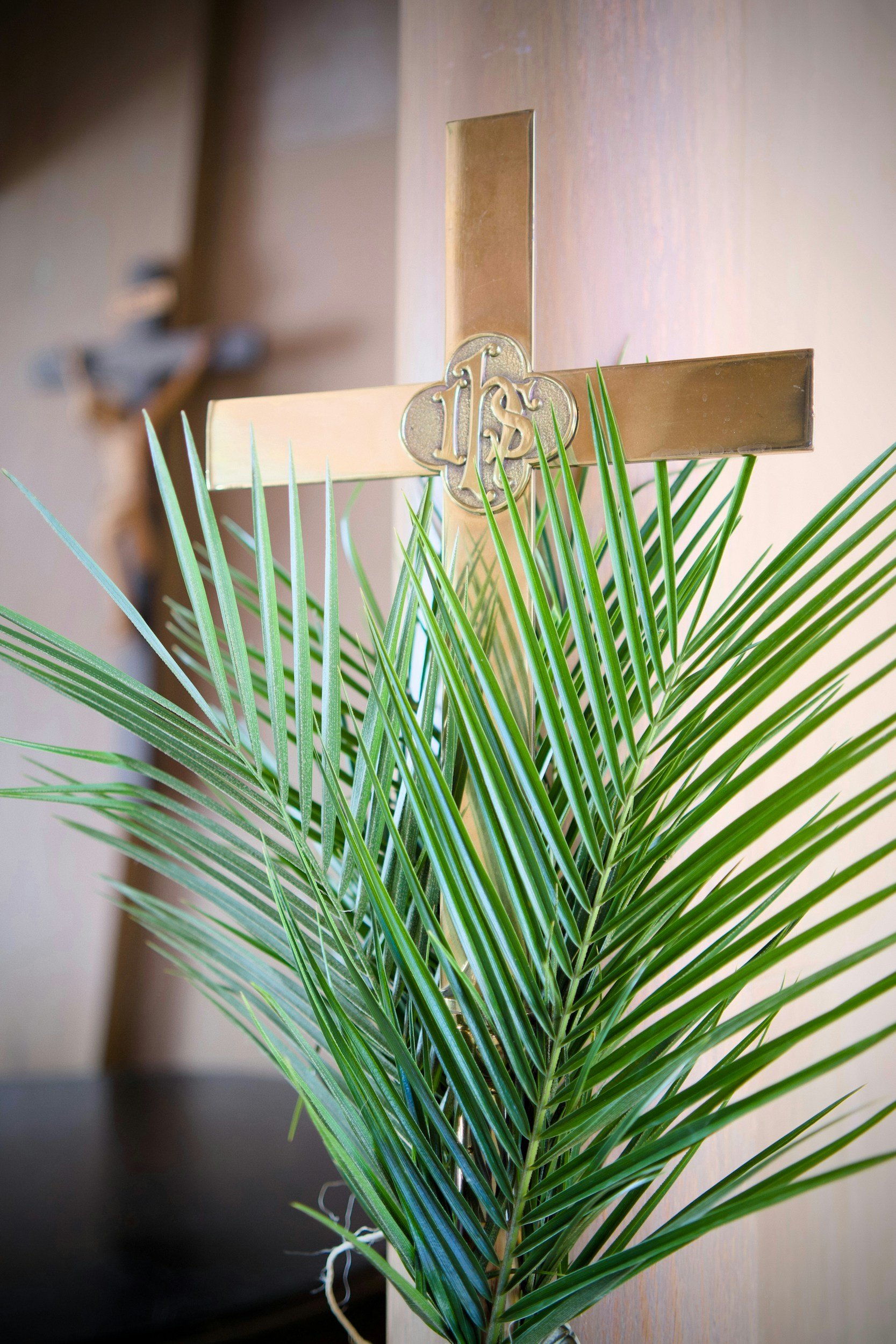 The Sunday of the Passion: Palm Sunday