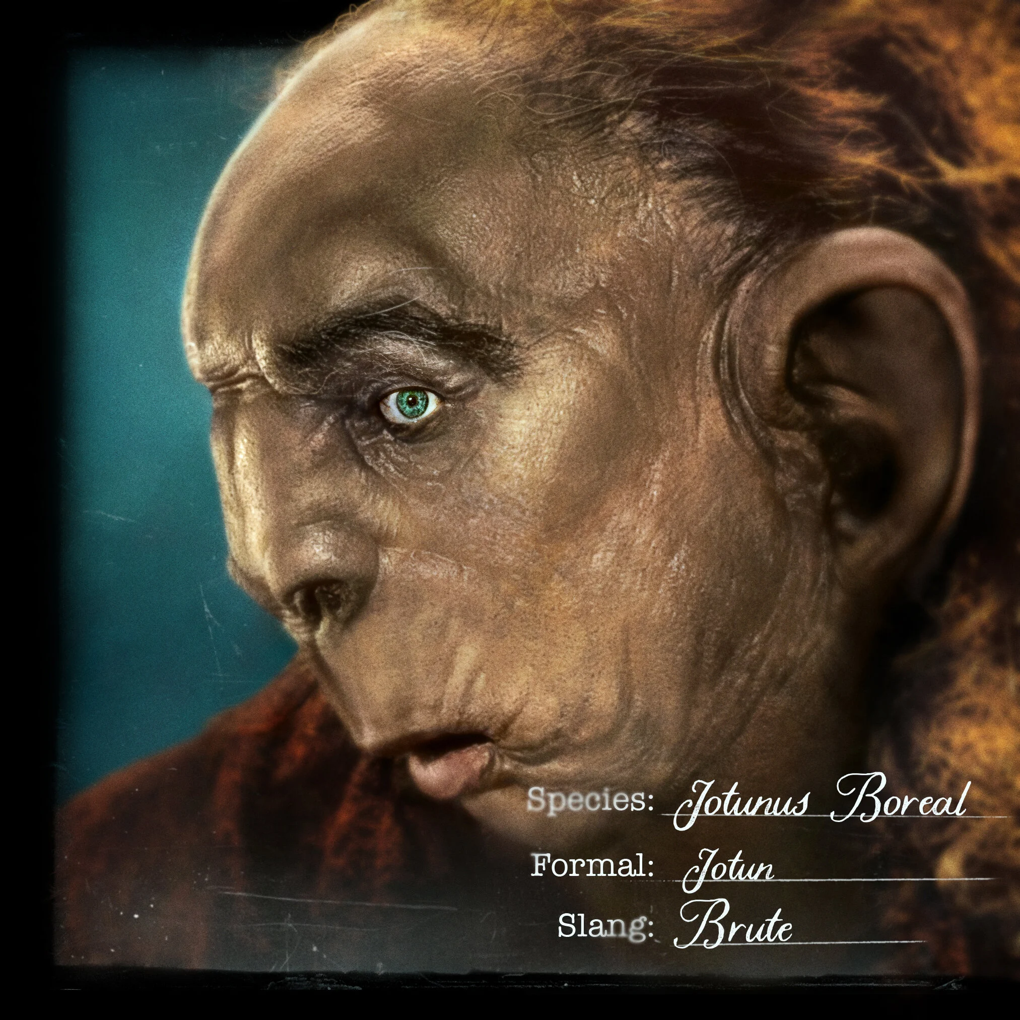 CRNY_S1_01080_Static_CREATURE_TROW_RFINRY_FINAL_Finish11.jpg