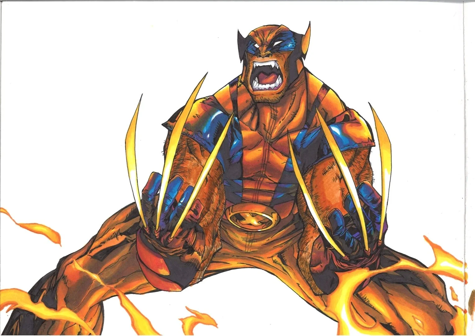 wolverine.jpg