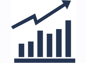 Fundraising & Revenue Systems Optimization