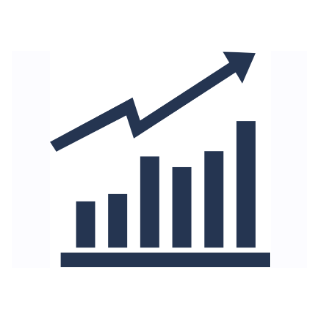 Fundraising & Revenue Systems Optimization