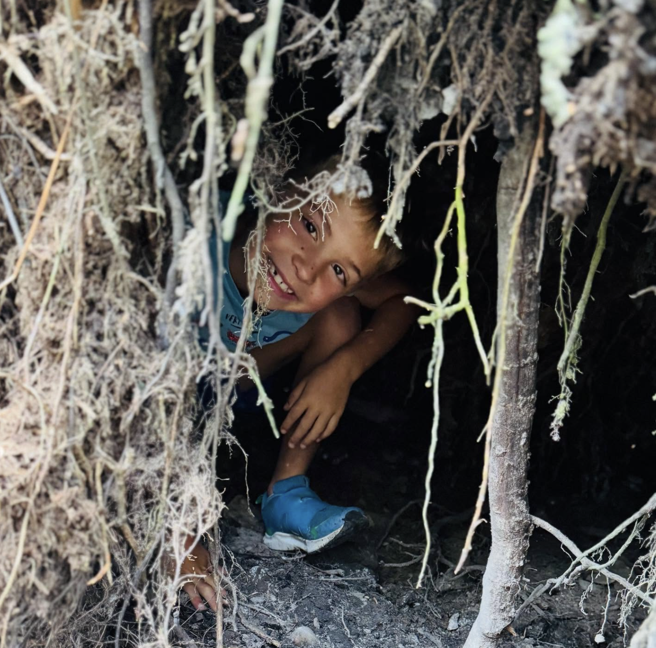 Screenshot 2026-02-11 at 10.41.19 AM.png