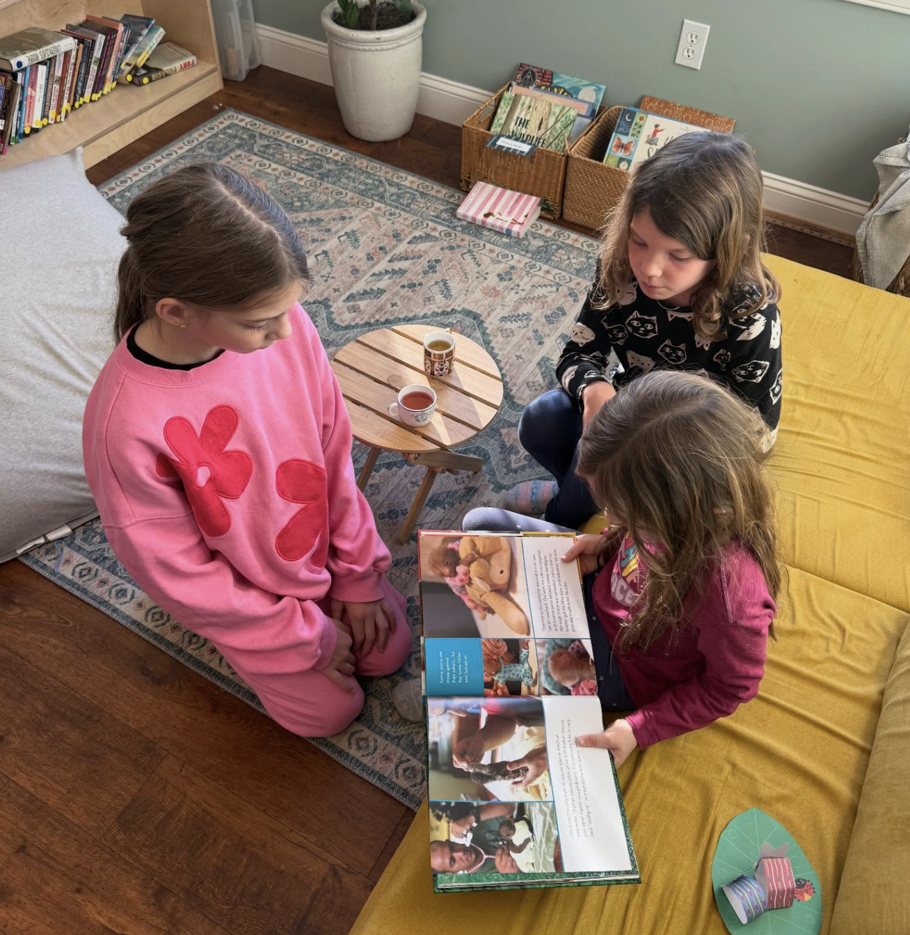 Screenshot 2026-02-11 at 10.39.51 AM.png