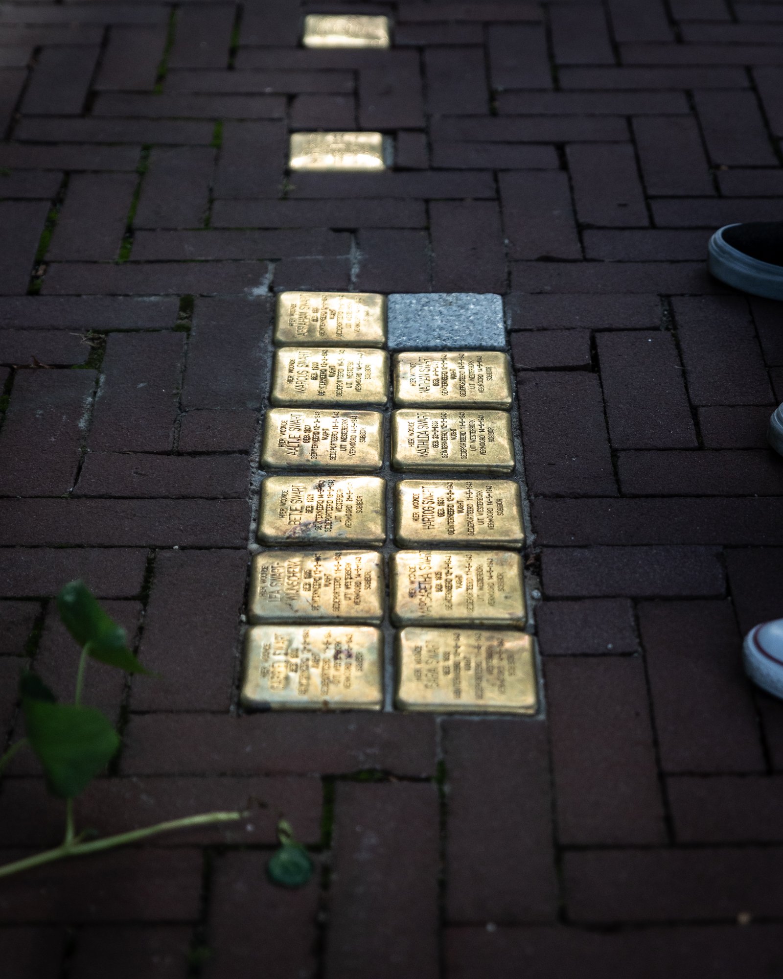 20220913_Netherlands_0328.jpg