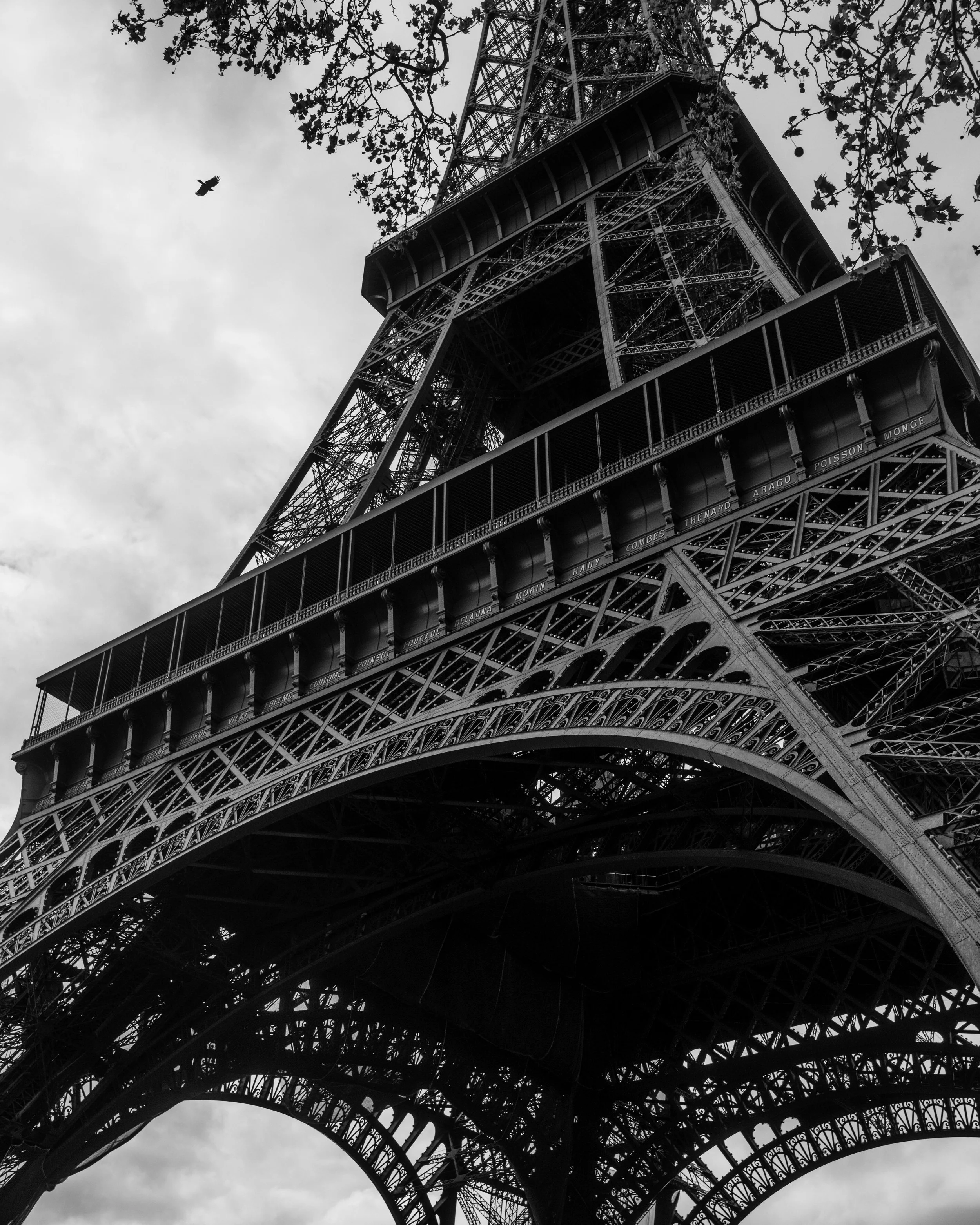 20260404_Paris_0295.jpg