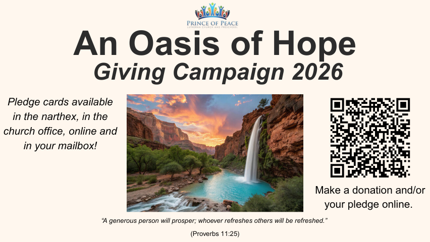 Stewardship website.png