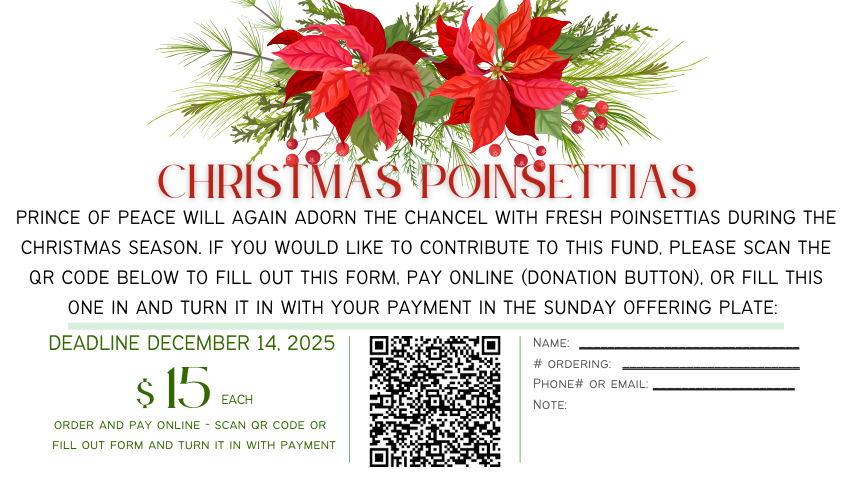 Poinsettias.png