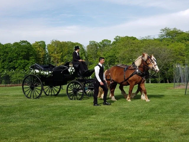 Wedding Carriage.JPG