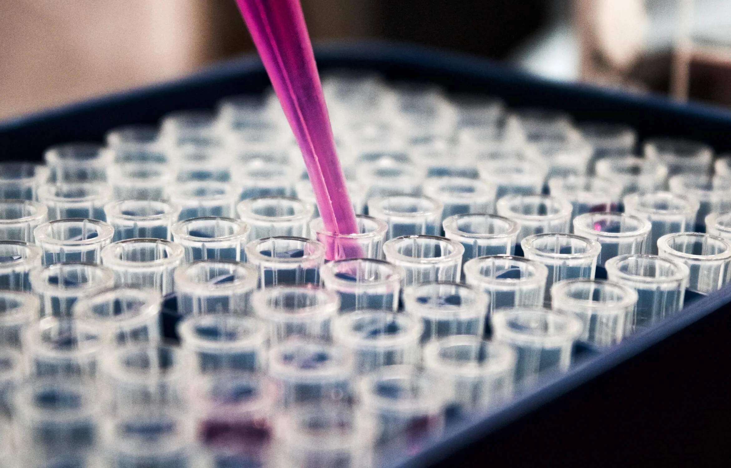 Capabilities — InVision Communications