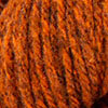 CHIP_TONES_persimmon_undertone.jpg