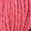 CHIP_TONES_lychee_overtone.jpg