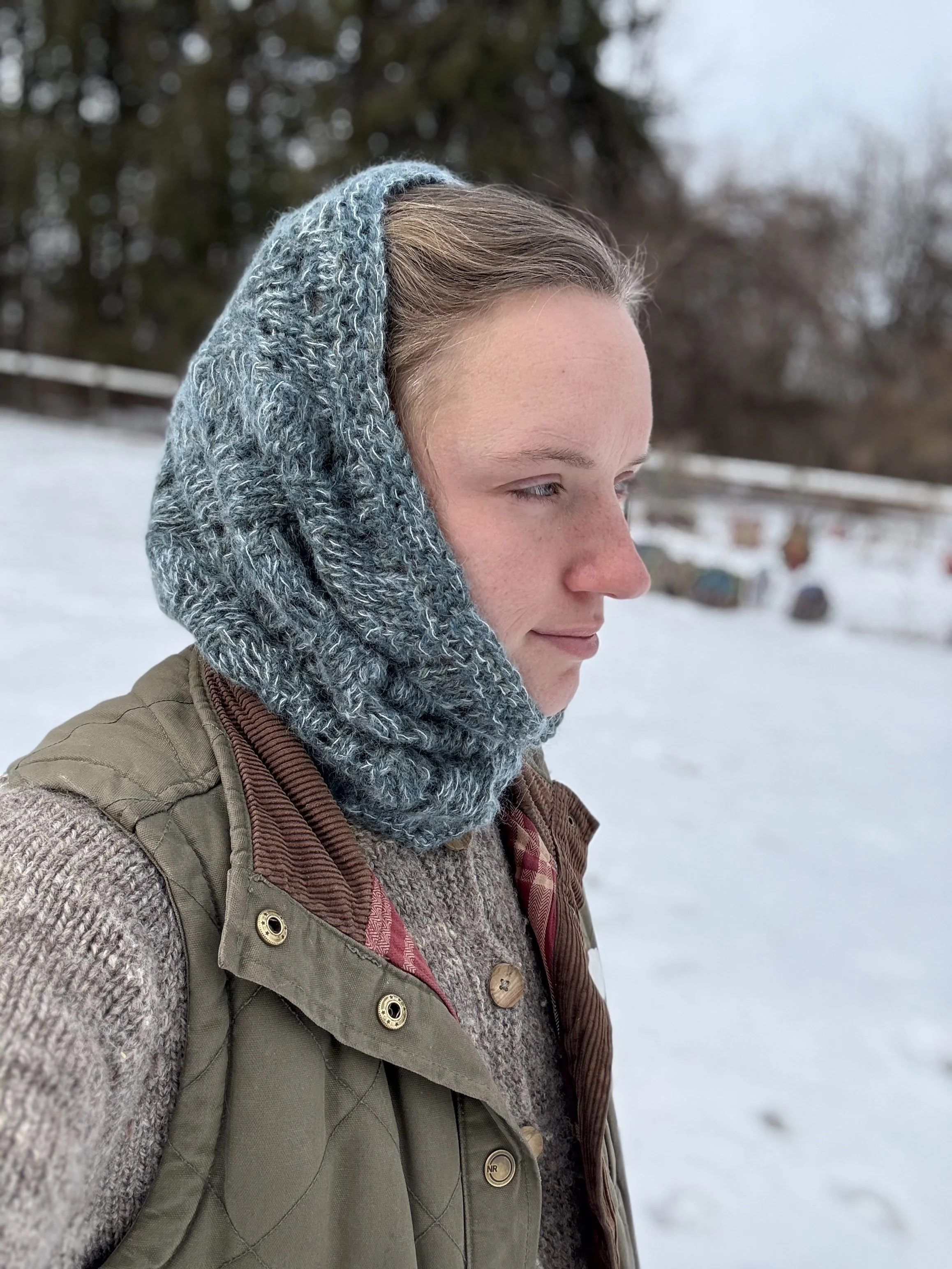 winter winds 2026-1.jpg