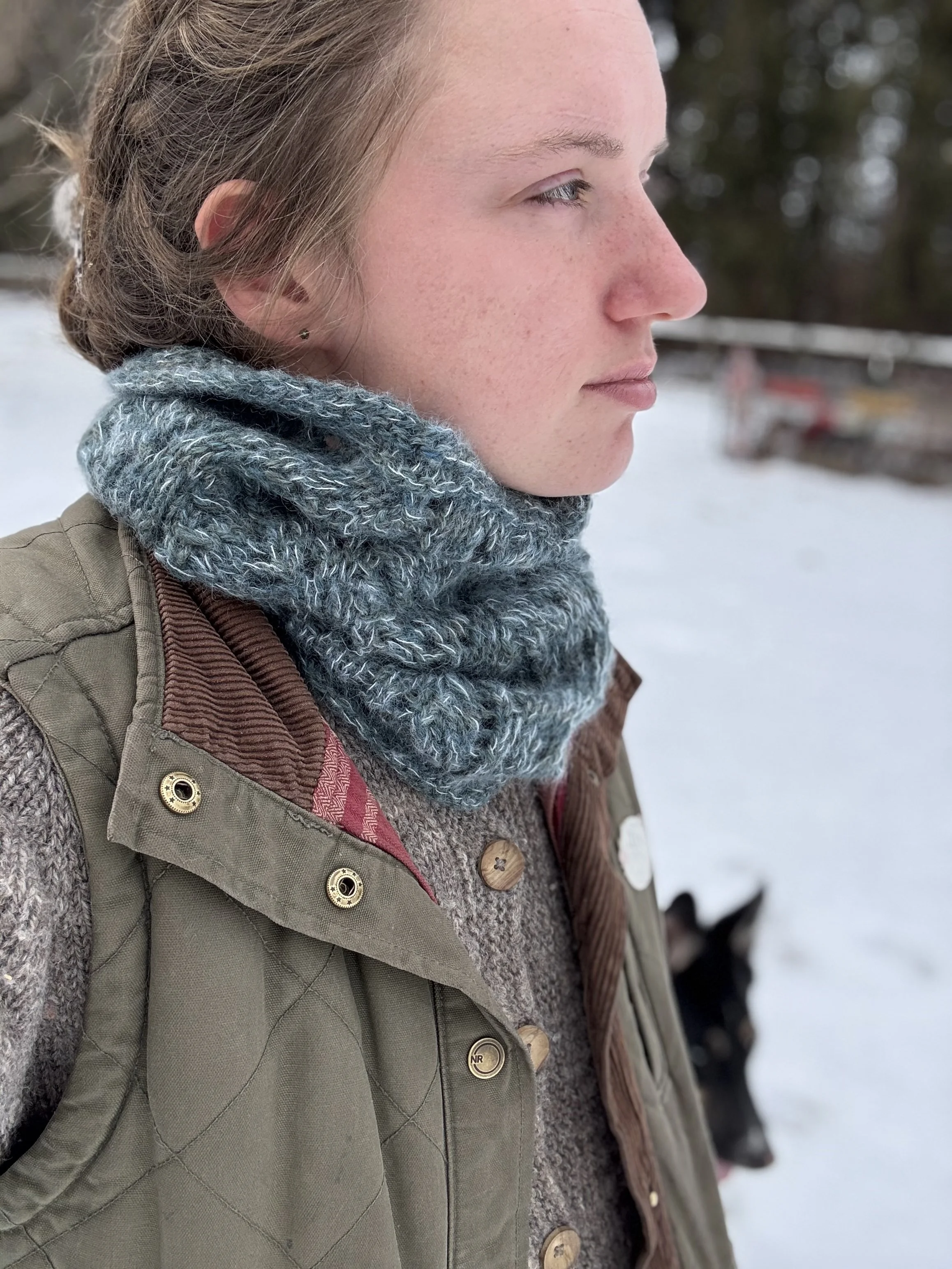 winter winds 2026-2.jpg