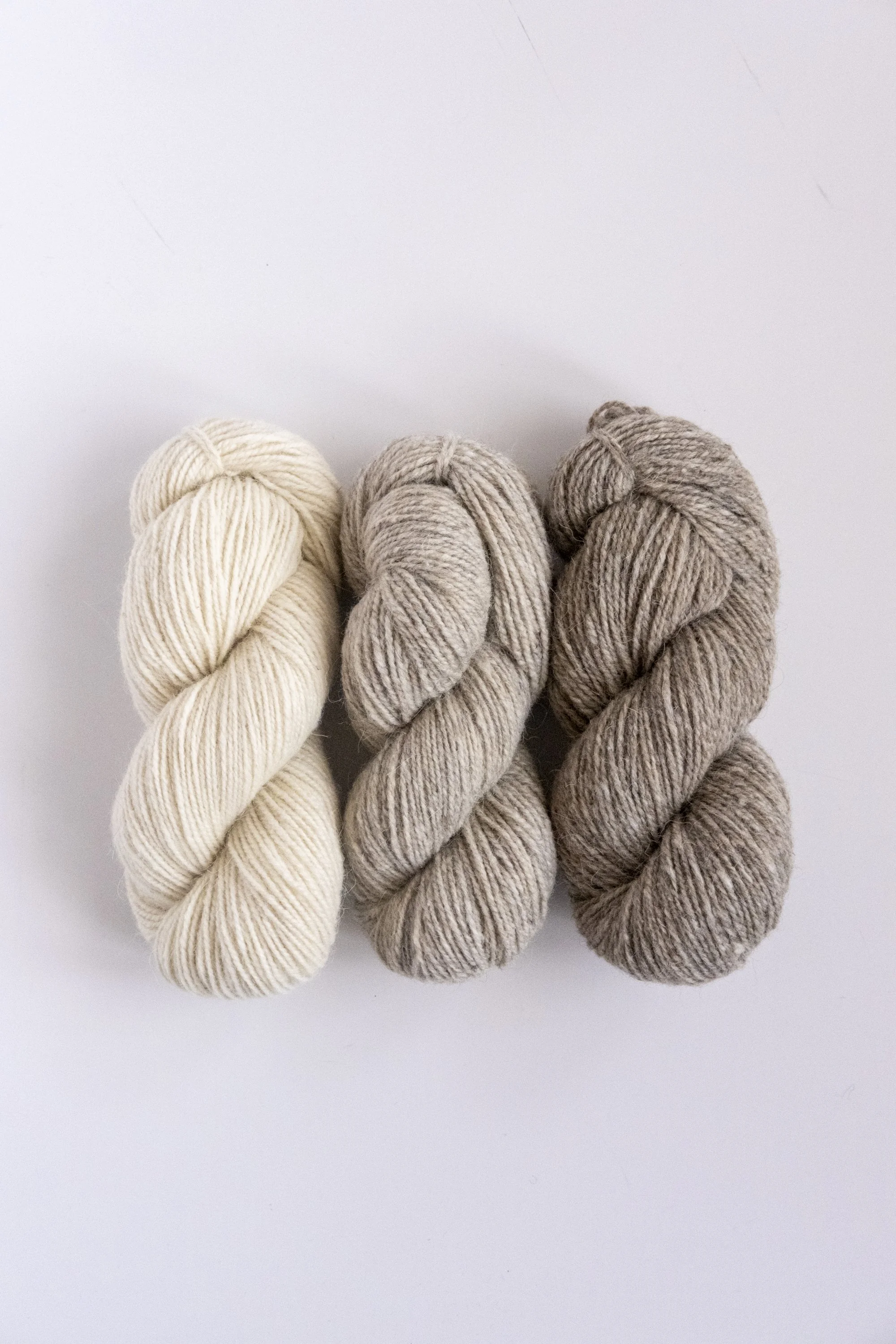 HD-Naturals-Alpaca-5279.jpg
