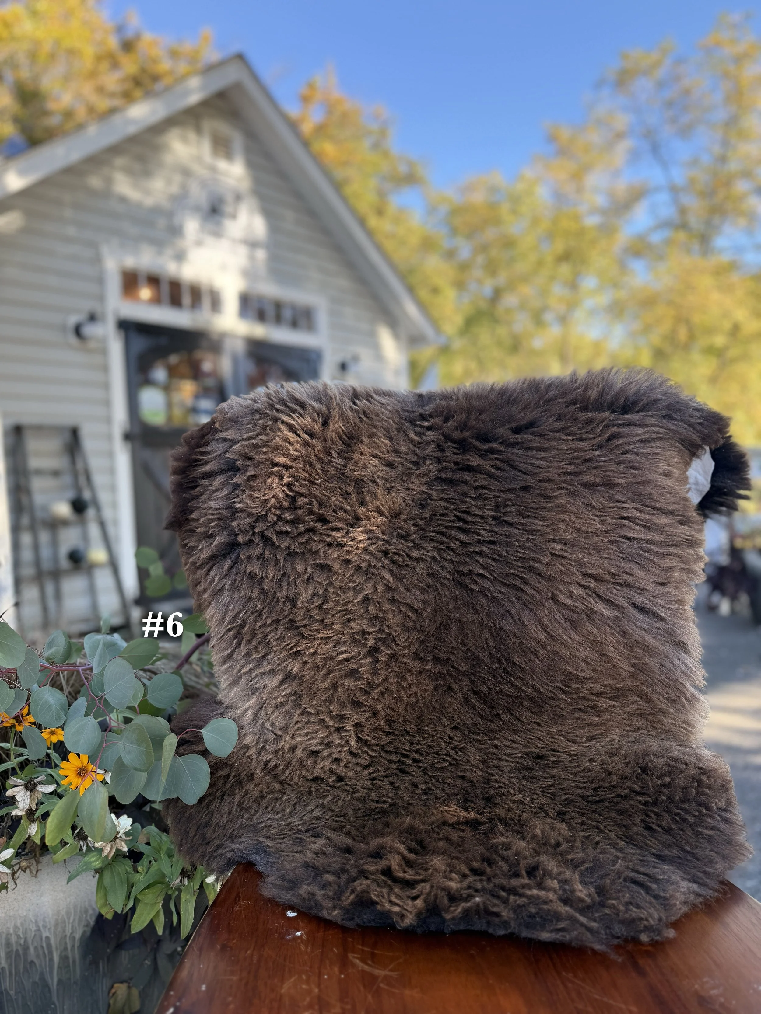 26sheepskin6.jpg