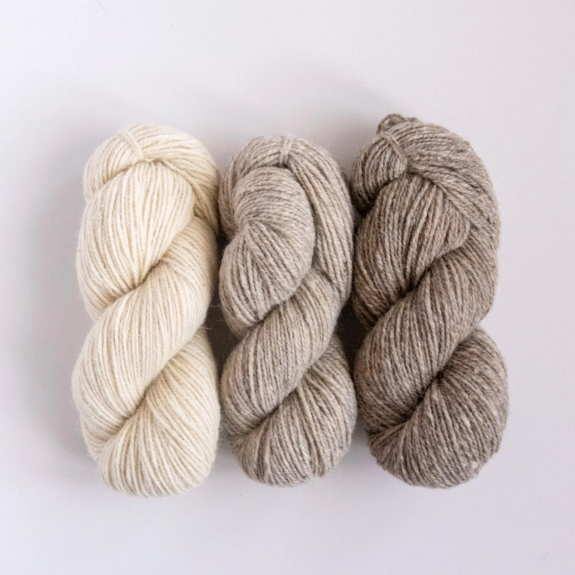 HD-Naturals-Alpaca-5279.jpg