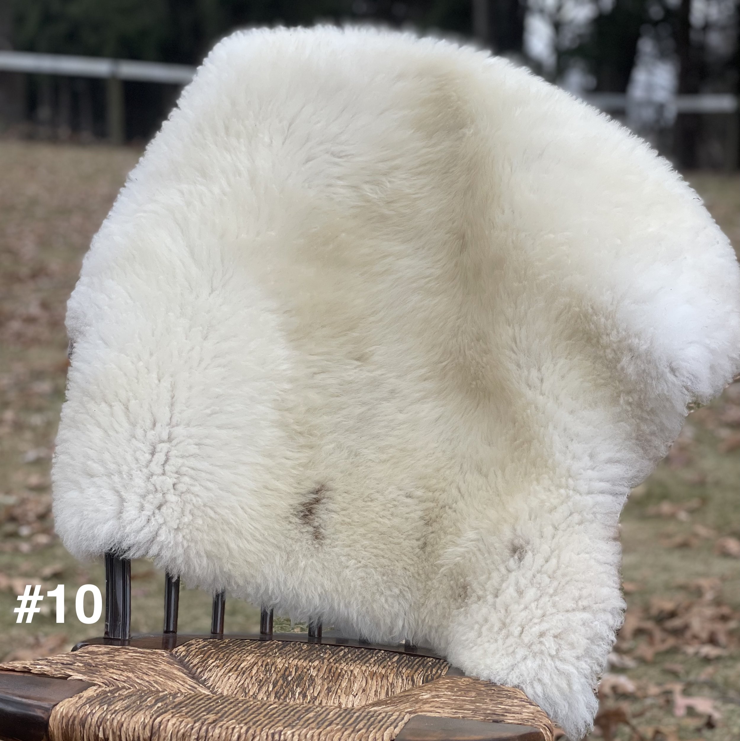 #10.jpg