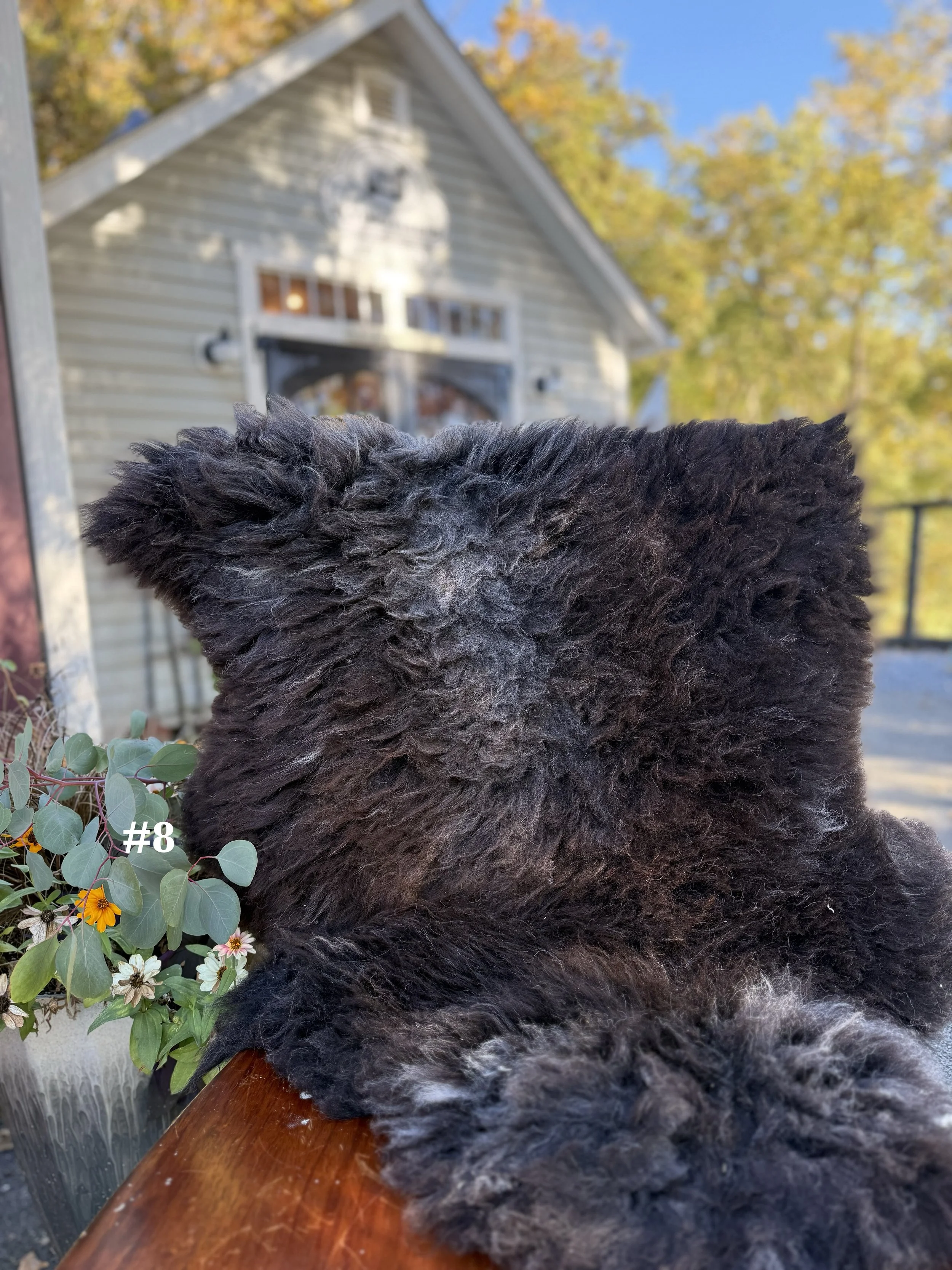 26sheepskin8.jpg
