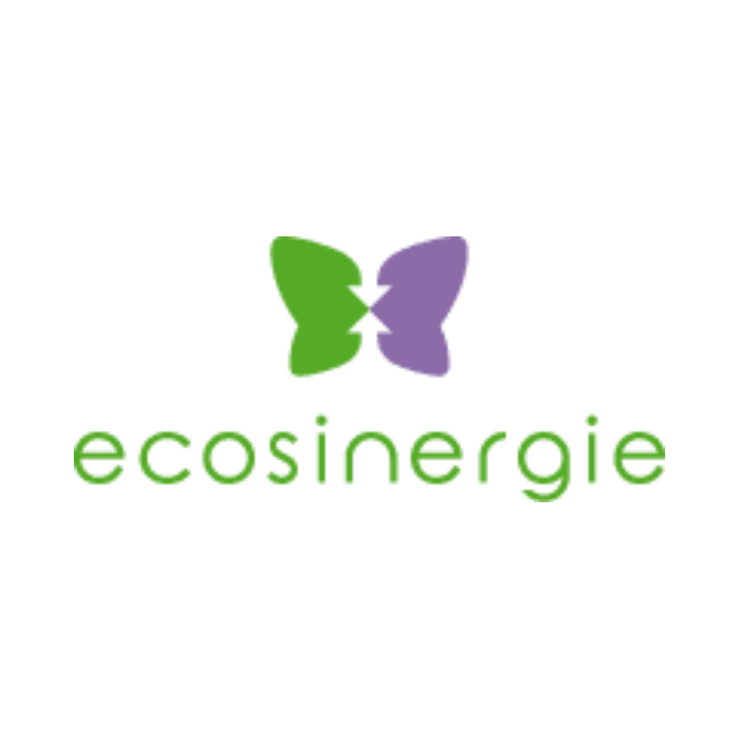 ECOSINERGIE.png