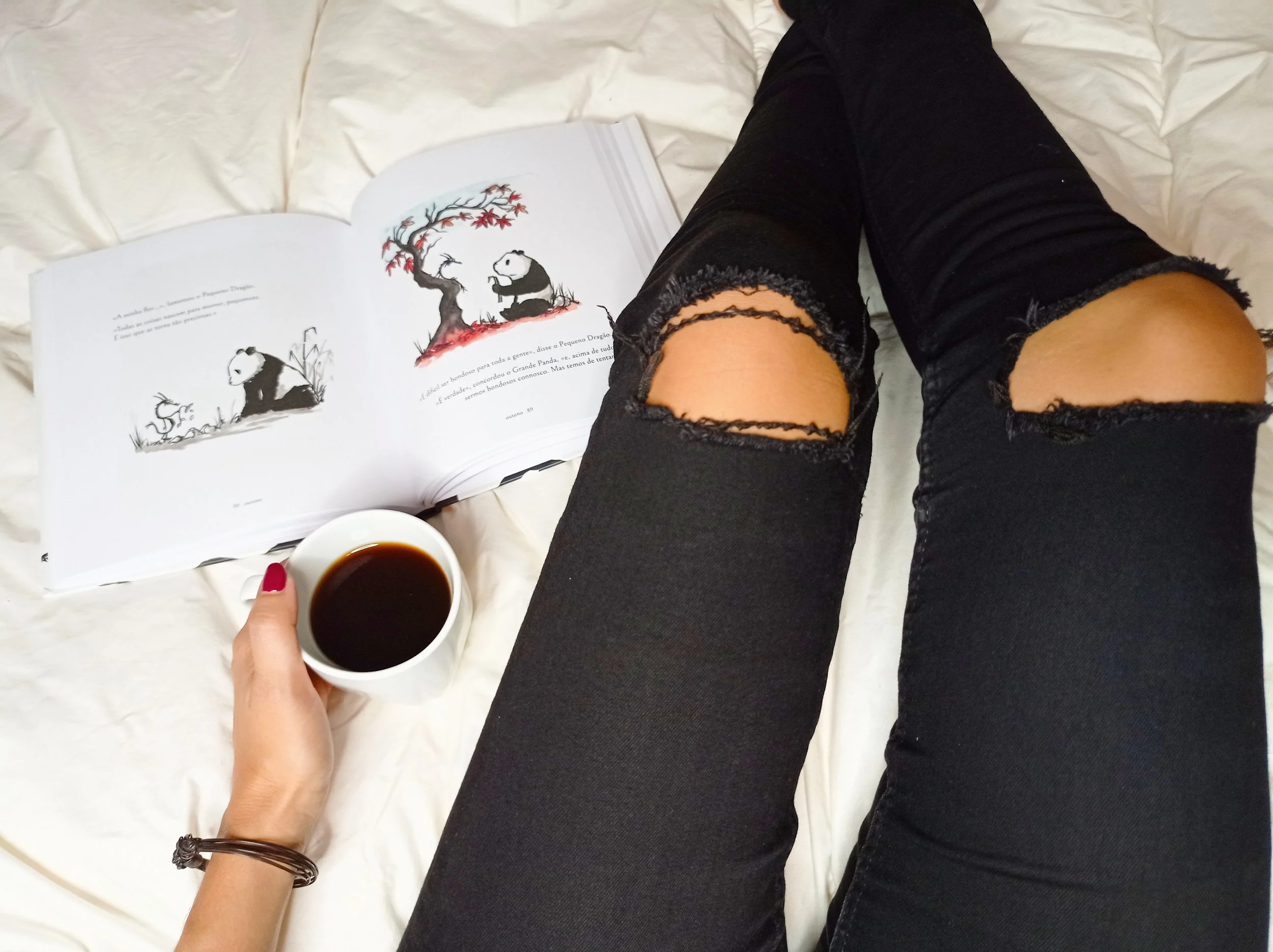 O Grande Panda e o Pequeno Dragão