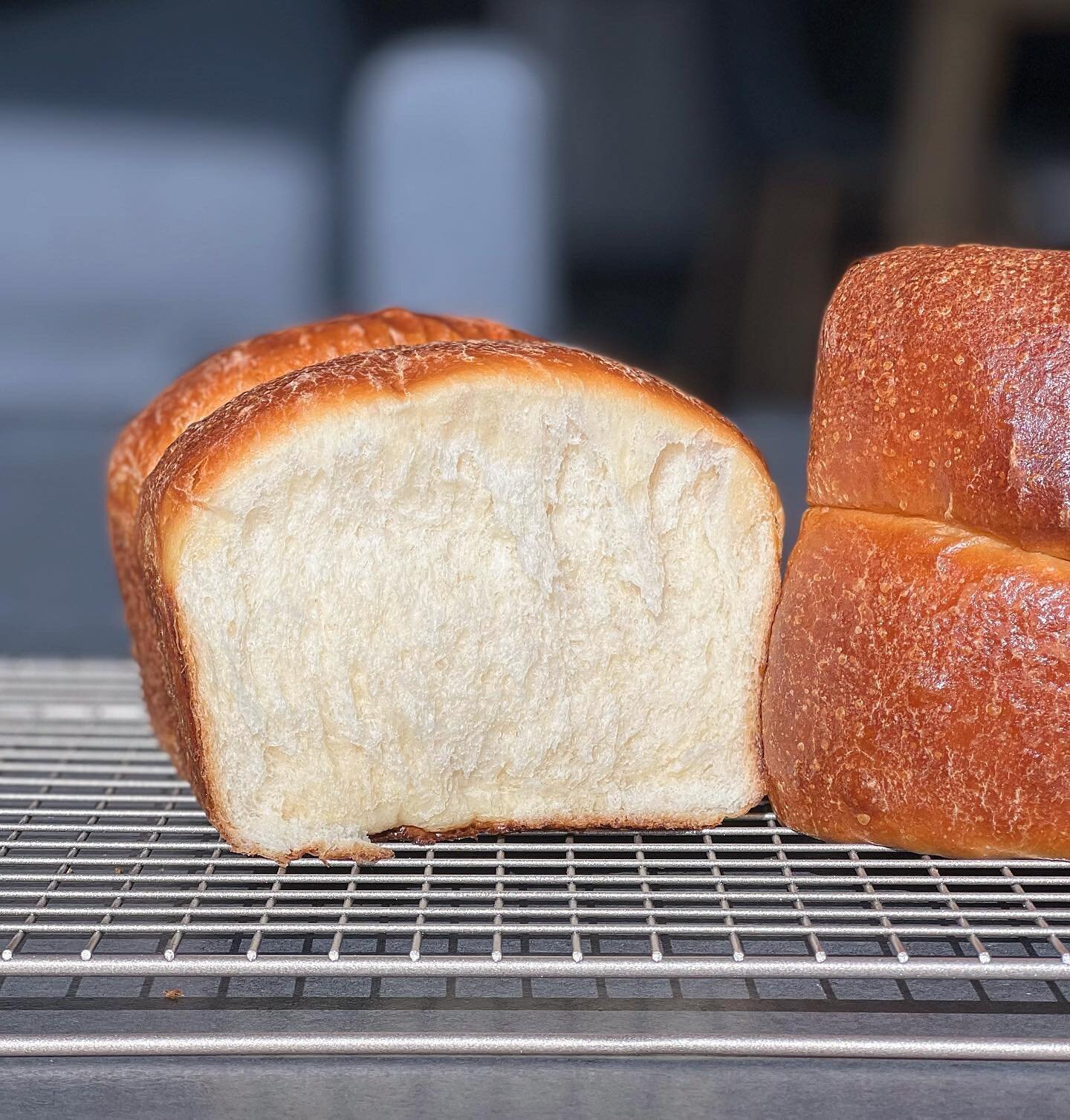 First sourdough loaf in almost a year! Finally brought Sally (my starter) to LA and decided to play around with a new recipe, combining two of my favorite breads (Japanese milk bread and sourdough)&mdash;mostly because I simply do not have a Dutch ov