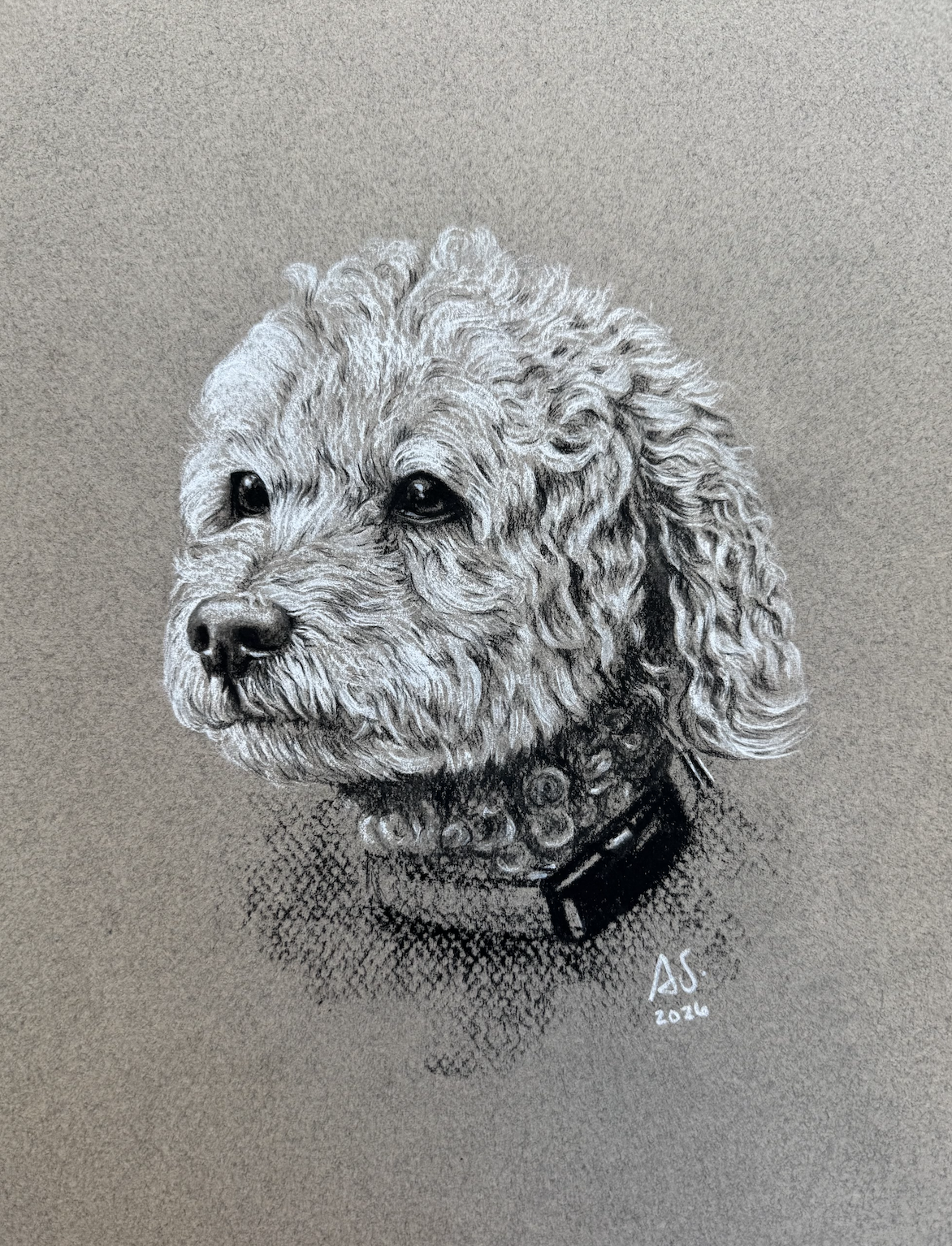 Pumpkin, black and white charcoal