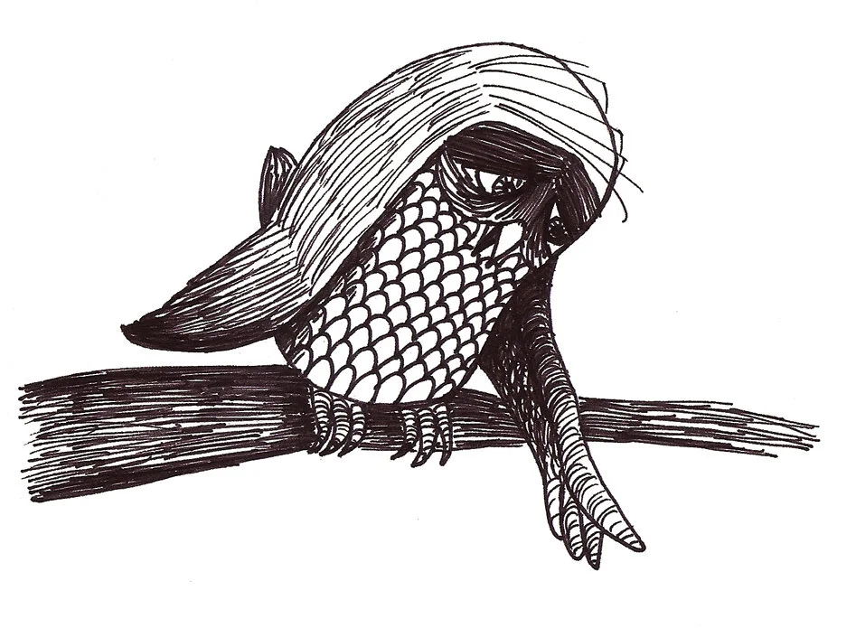 sad-owl.jpg