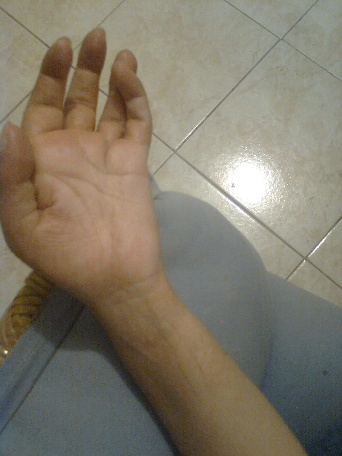 Imagen1088.jpg