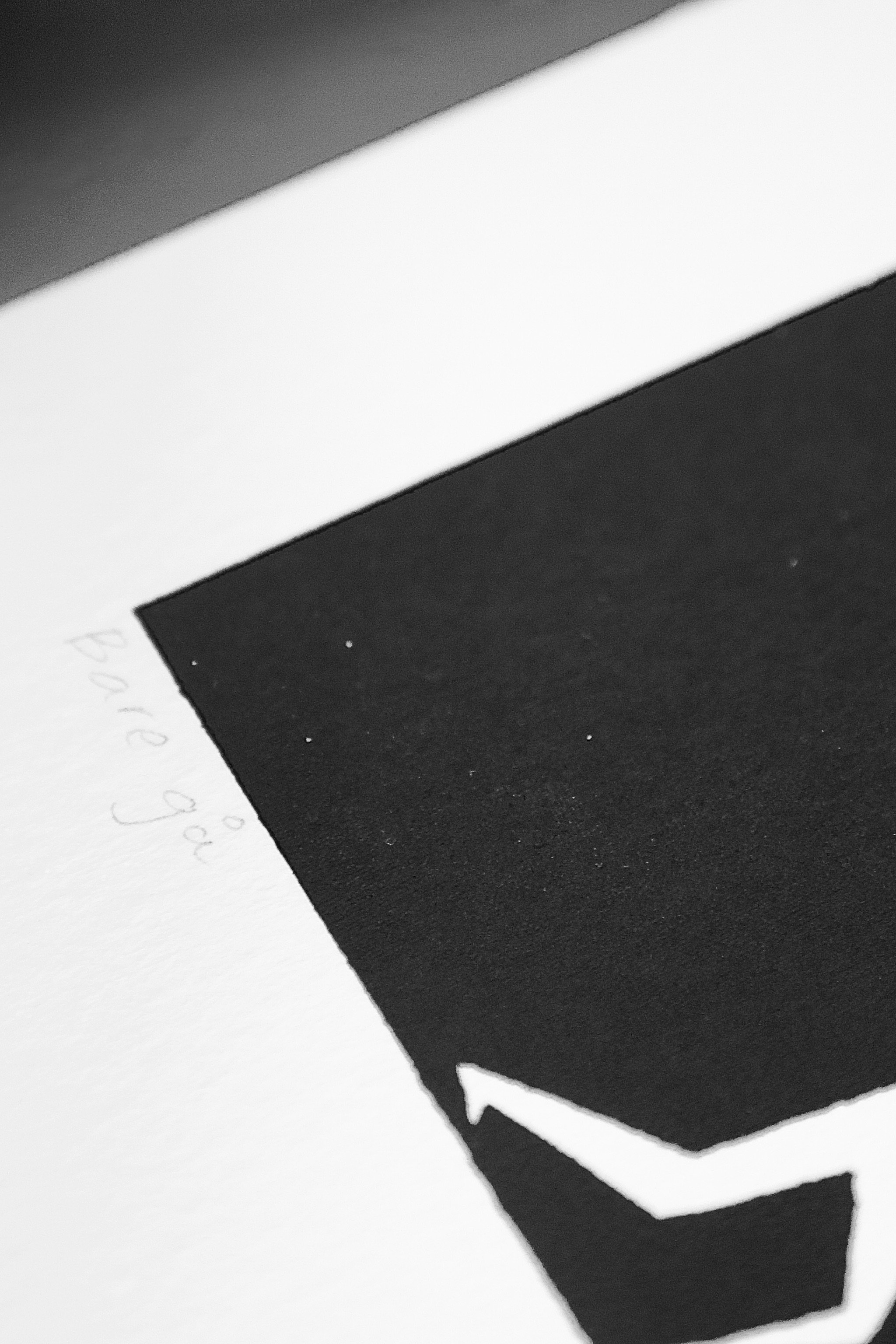 P8780620.jpeg