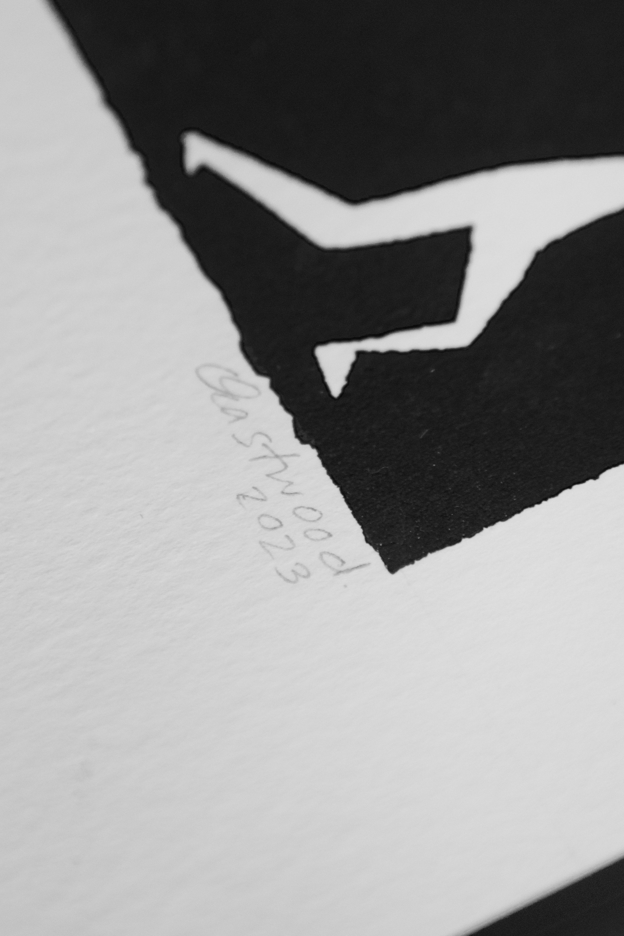 P8780626.jpeg