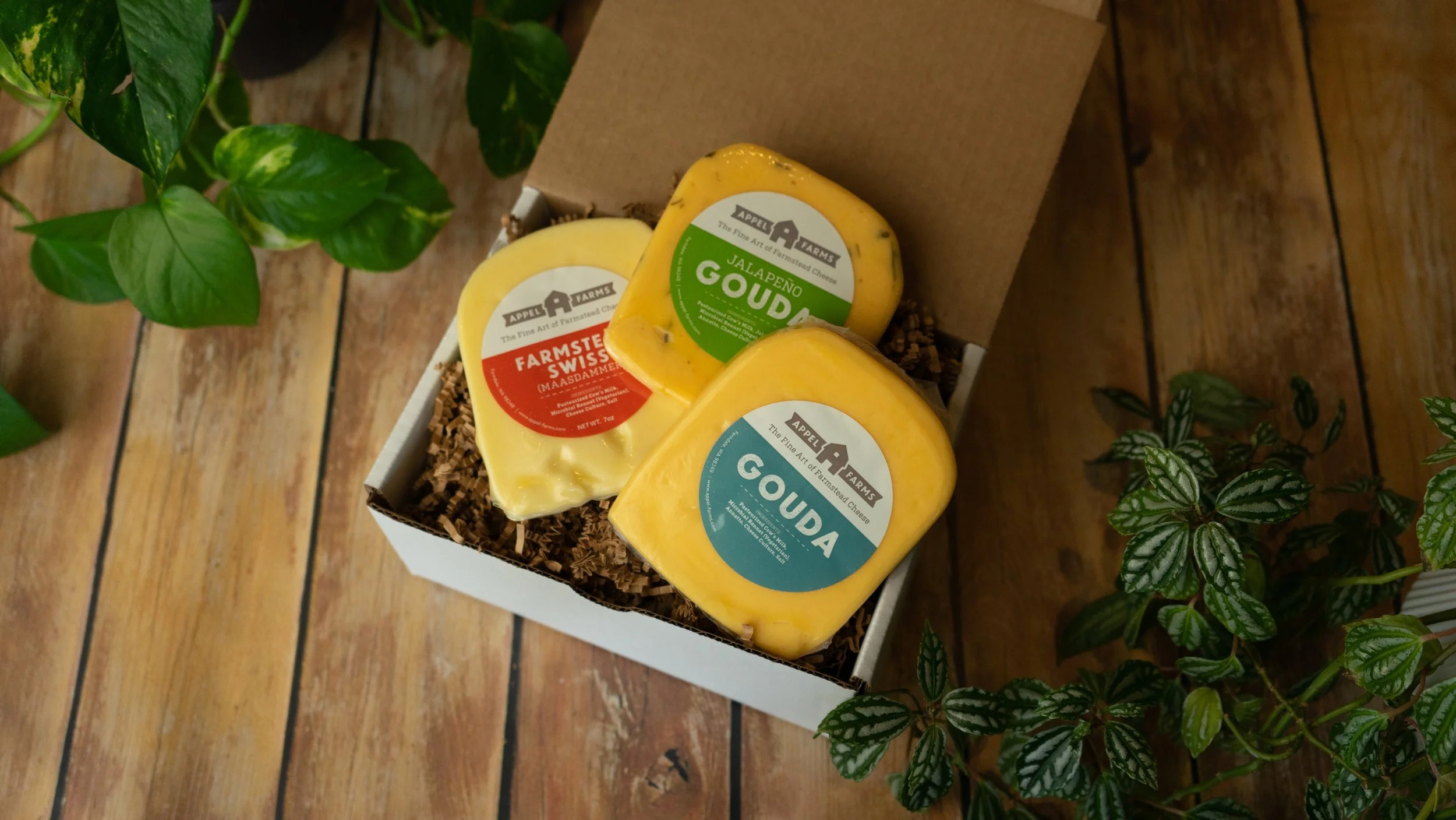 Small Cheeselover's Monthly