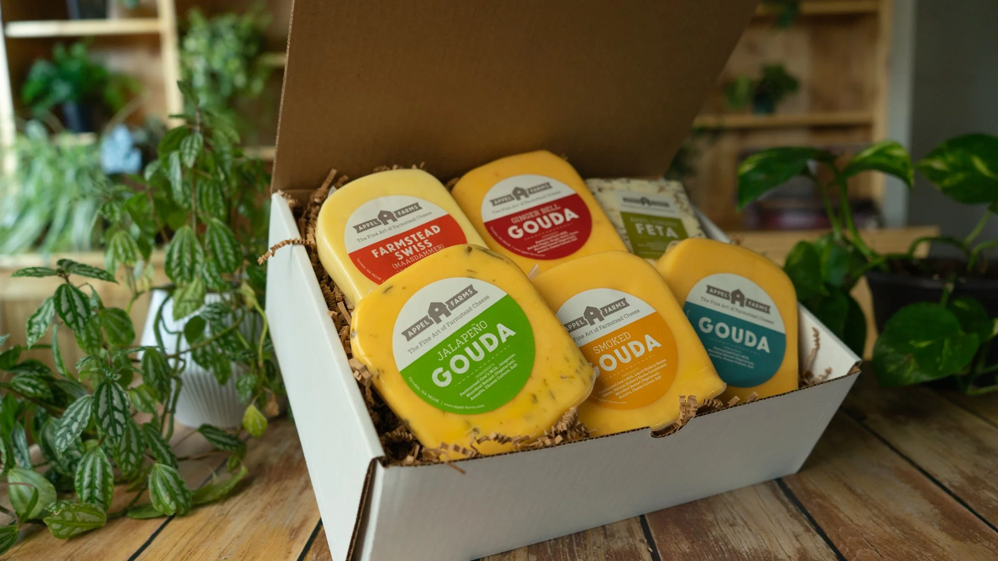 Medium Cheeselover's
