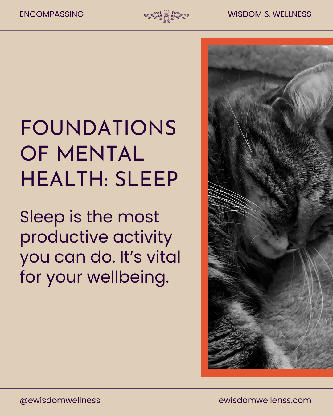 Foundations of Mental Health: Sleep