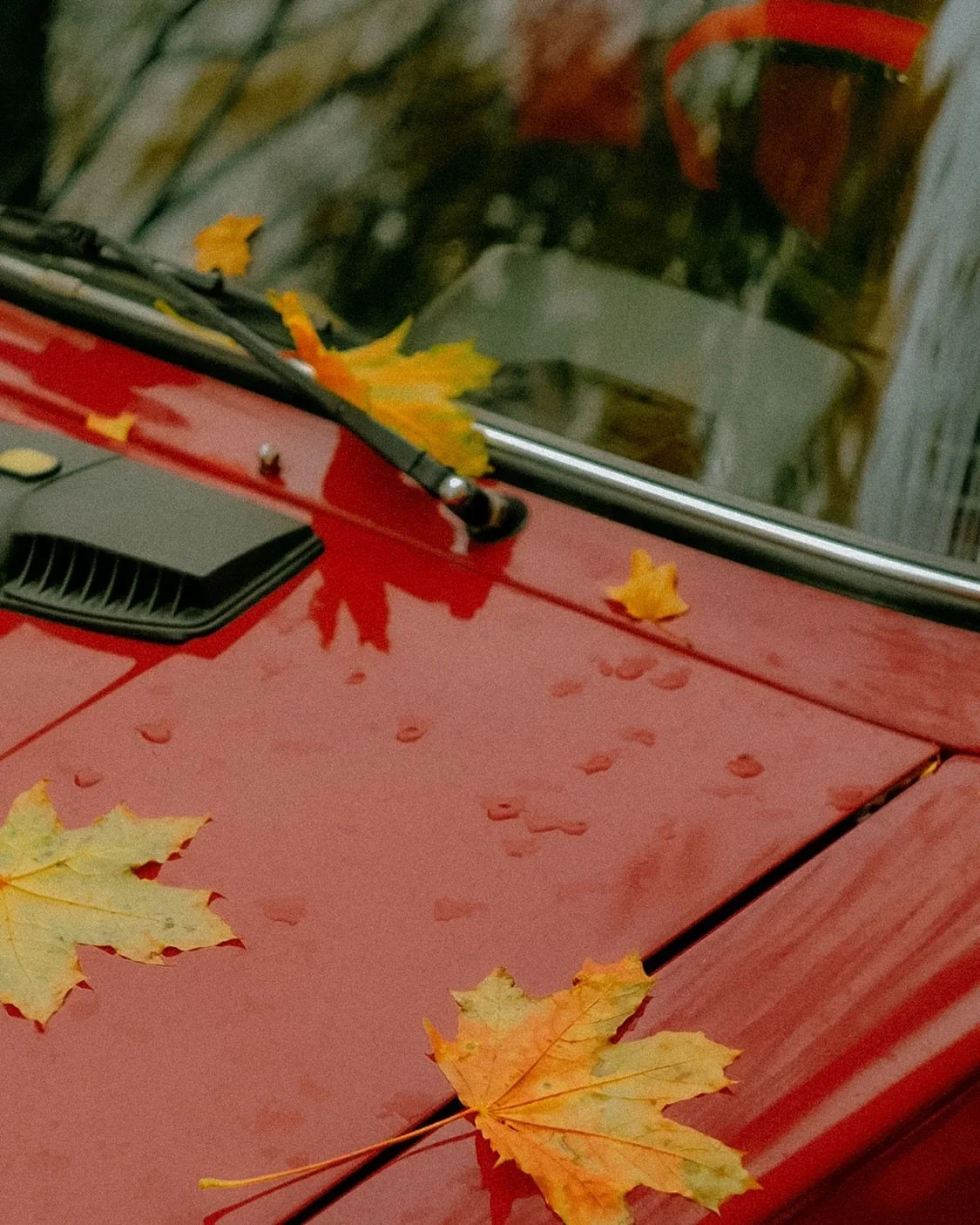 Fall drives hit different 🍁