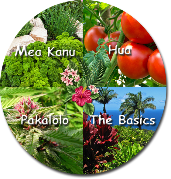 Hawaii Gardener, Gardening In Hawaii Tips