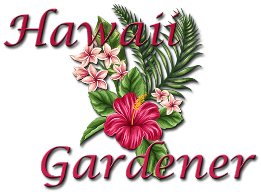 Hawaii Gardener, Gardening In Hawaii Tips