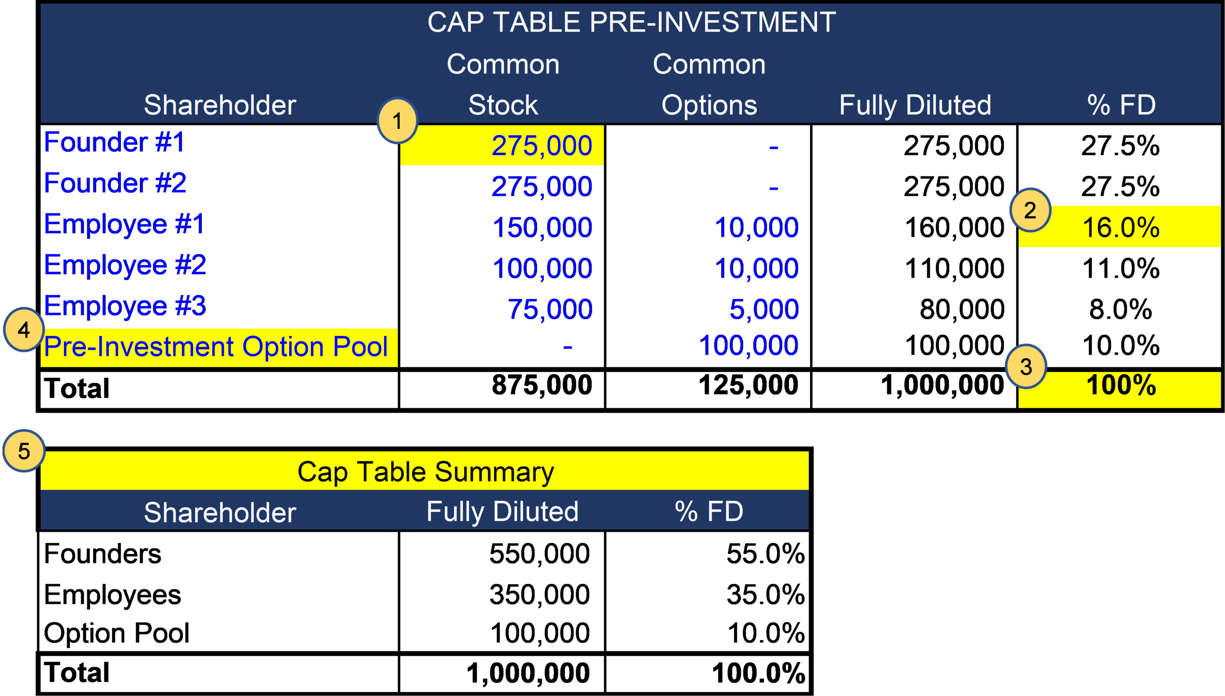 Startup Founders Part 1 Pre Investment