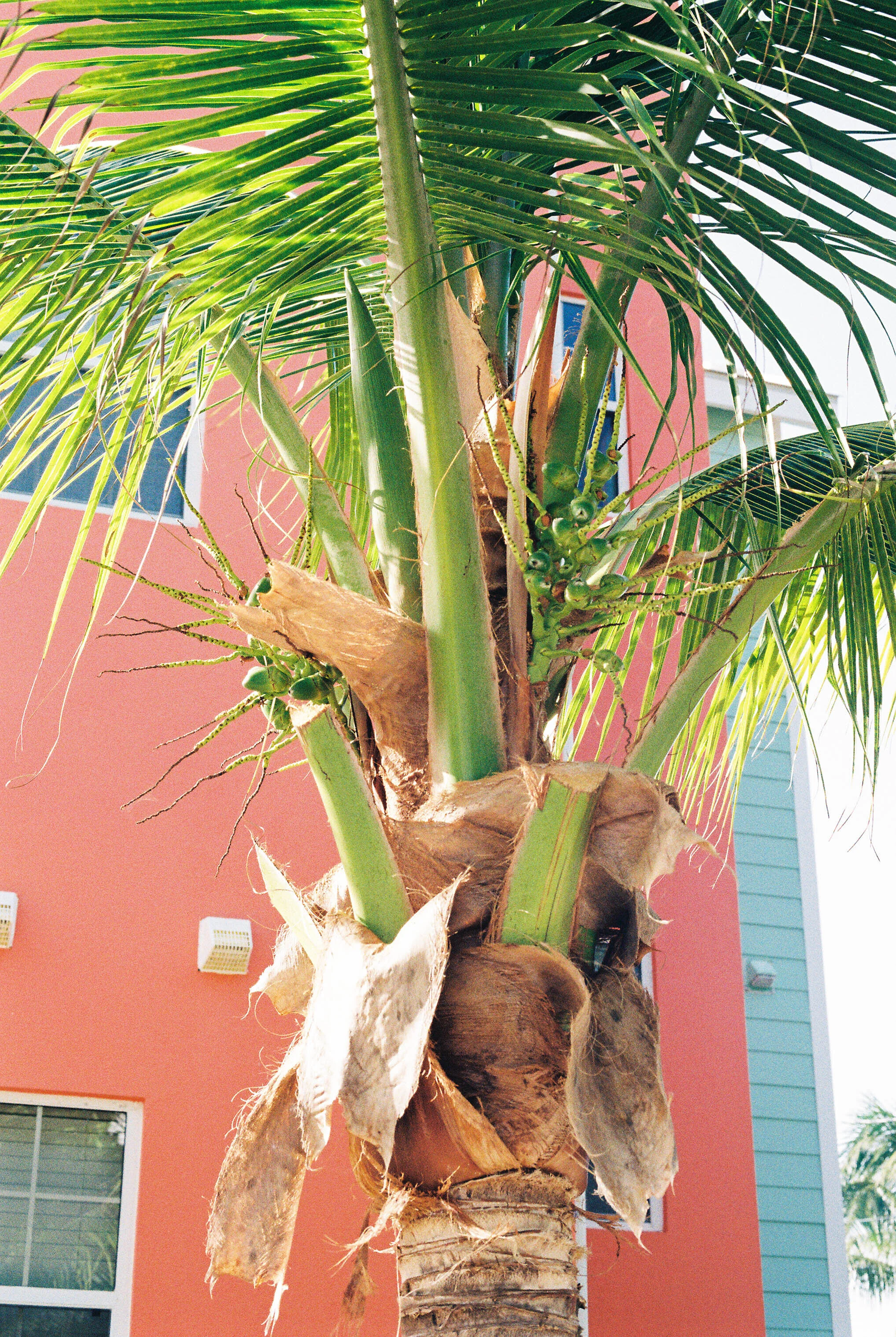 Film_Cayman_4.jpg