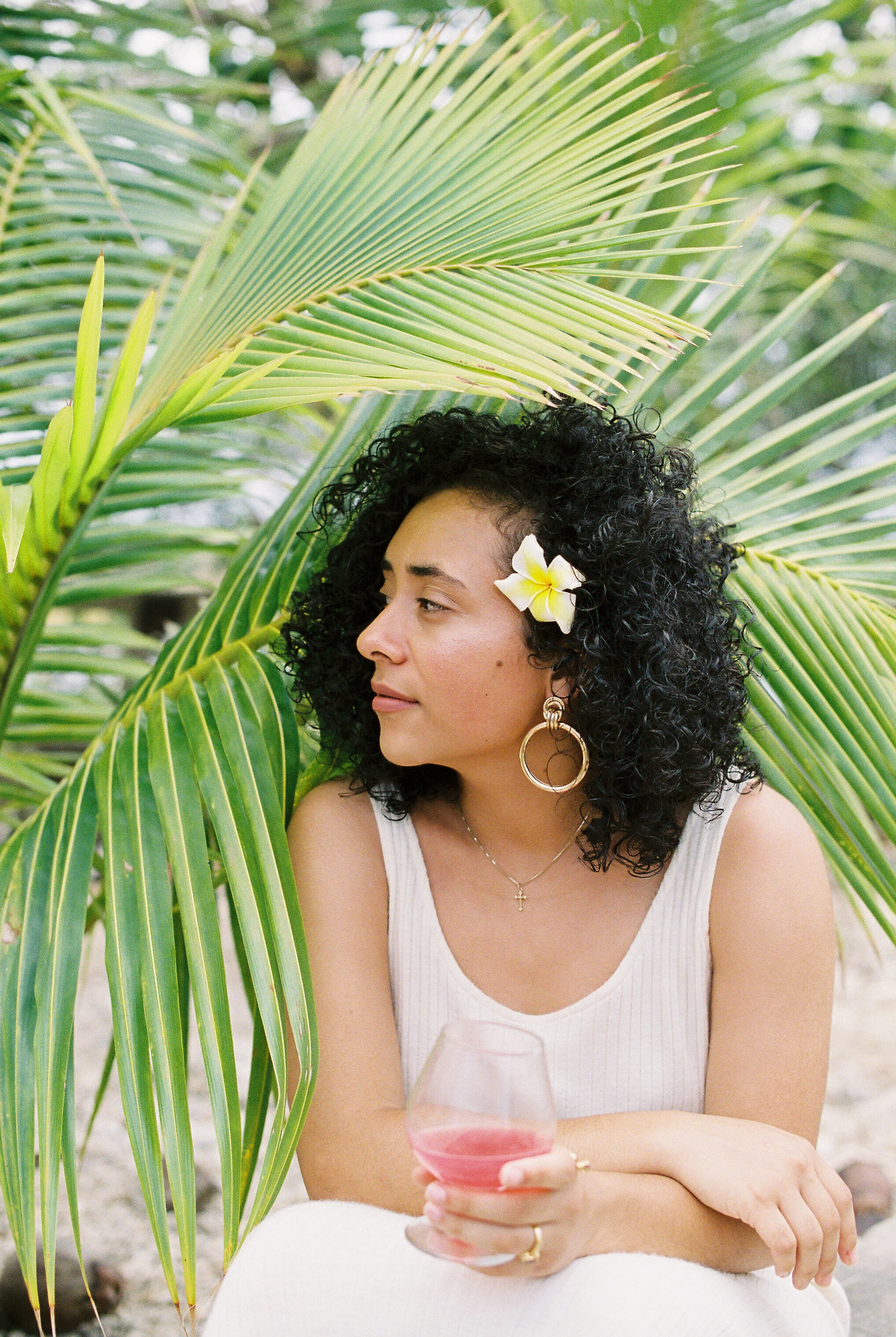 Plumerias & Coconut Trees