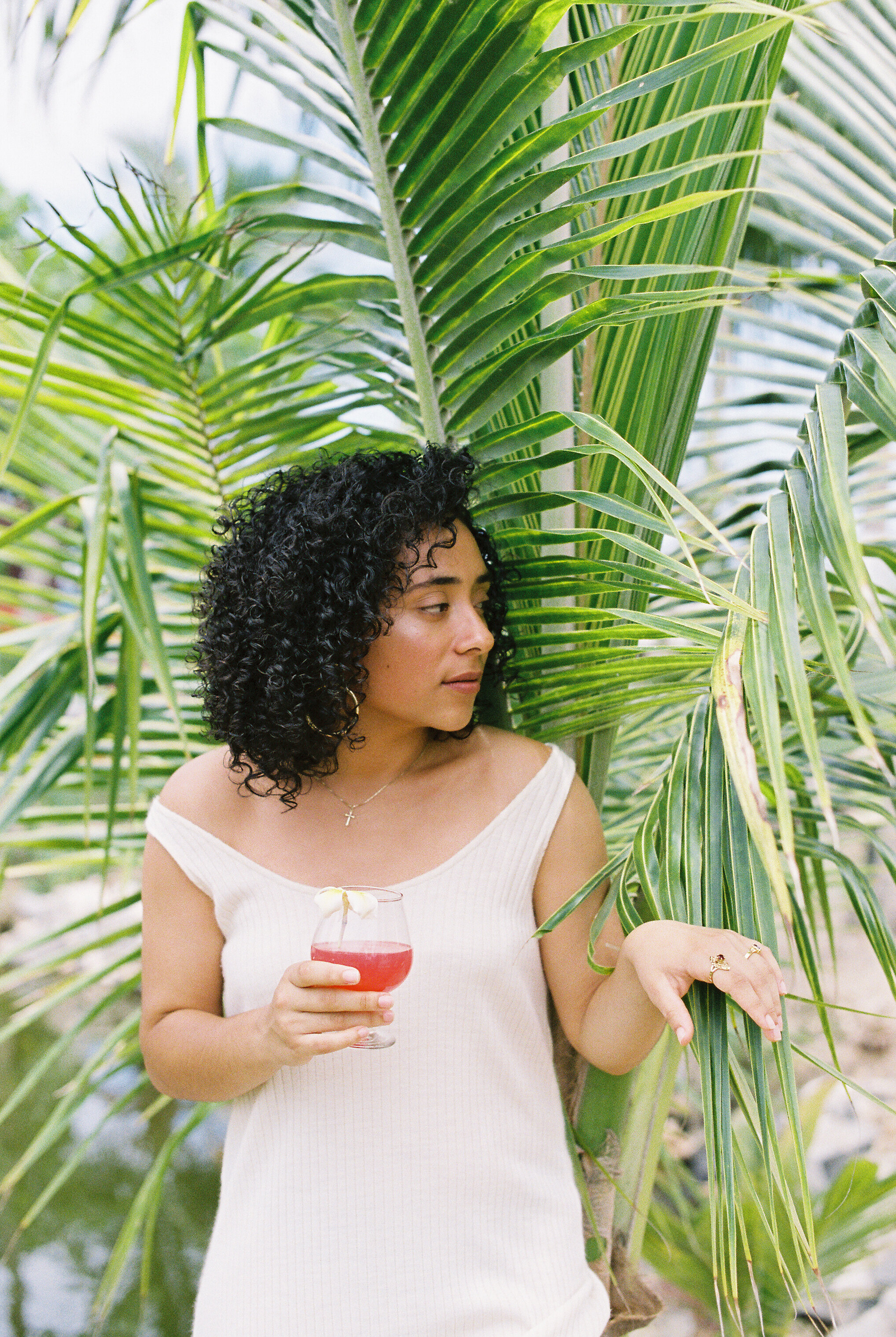 Watermelon Juice & Coconut Trees