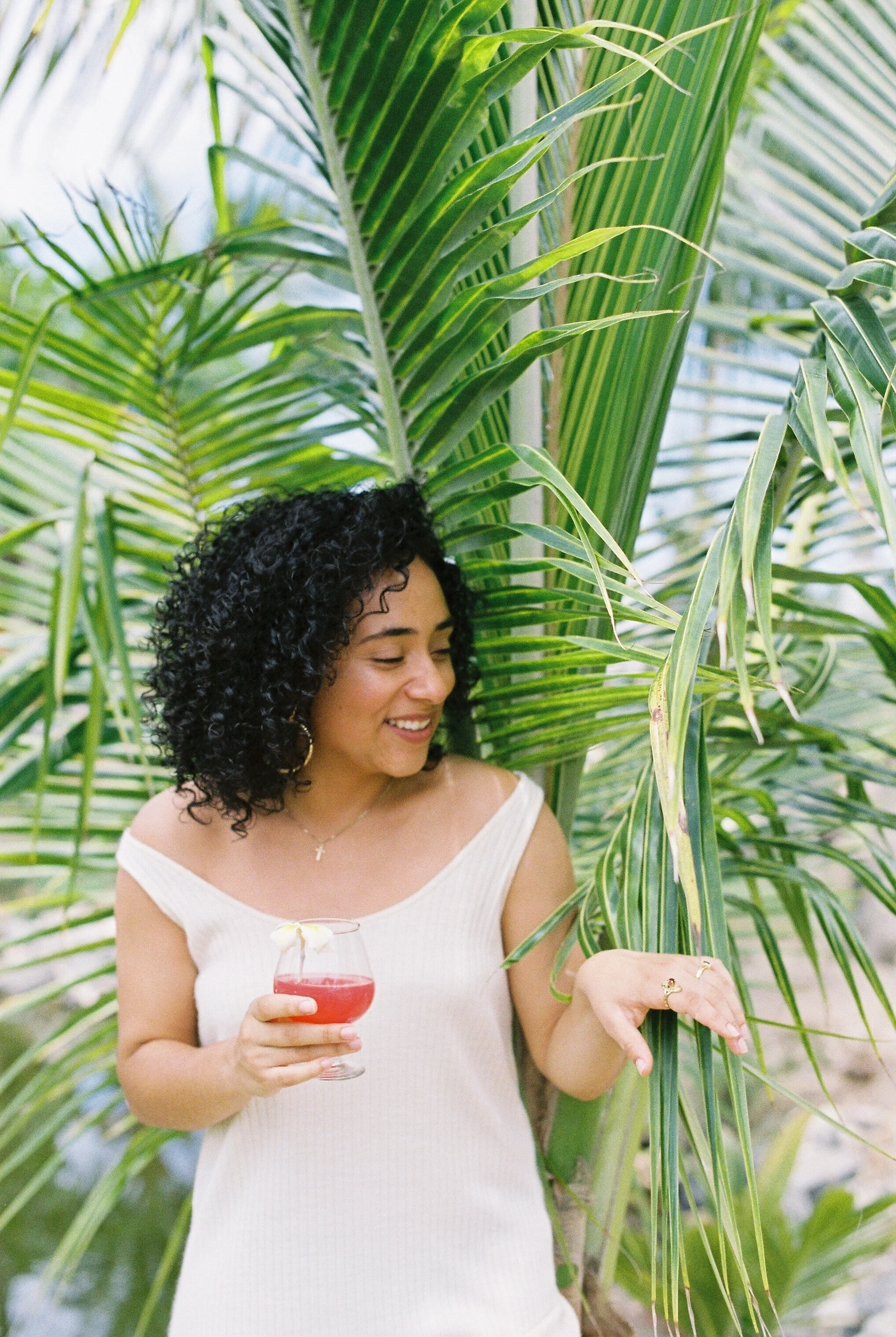 Watermelon Juice & Coconut Trees