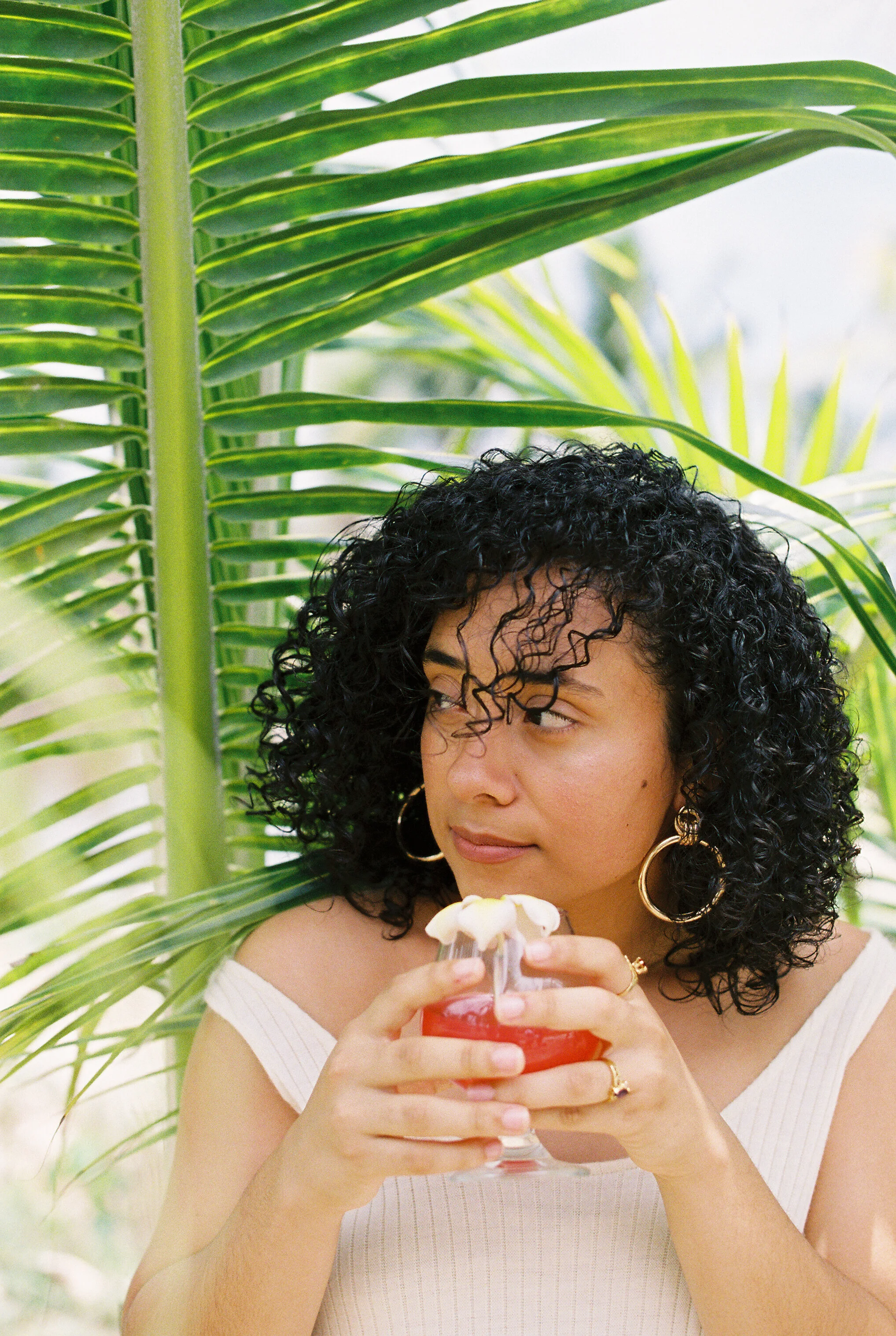 Watermelon Juice & Coconut Trees