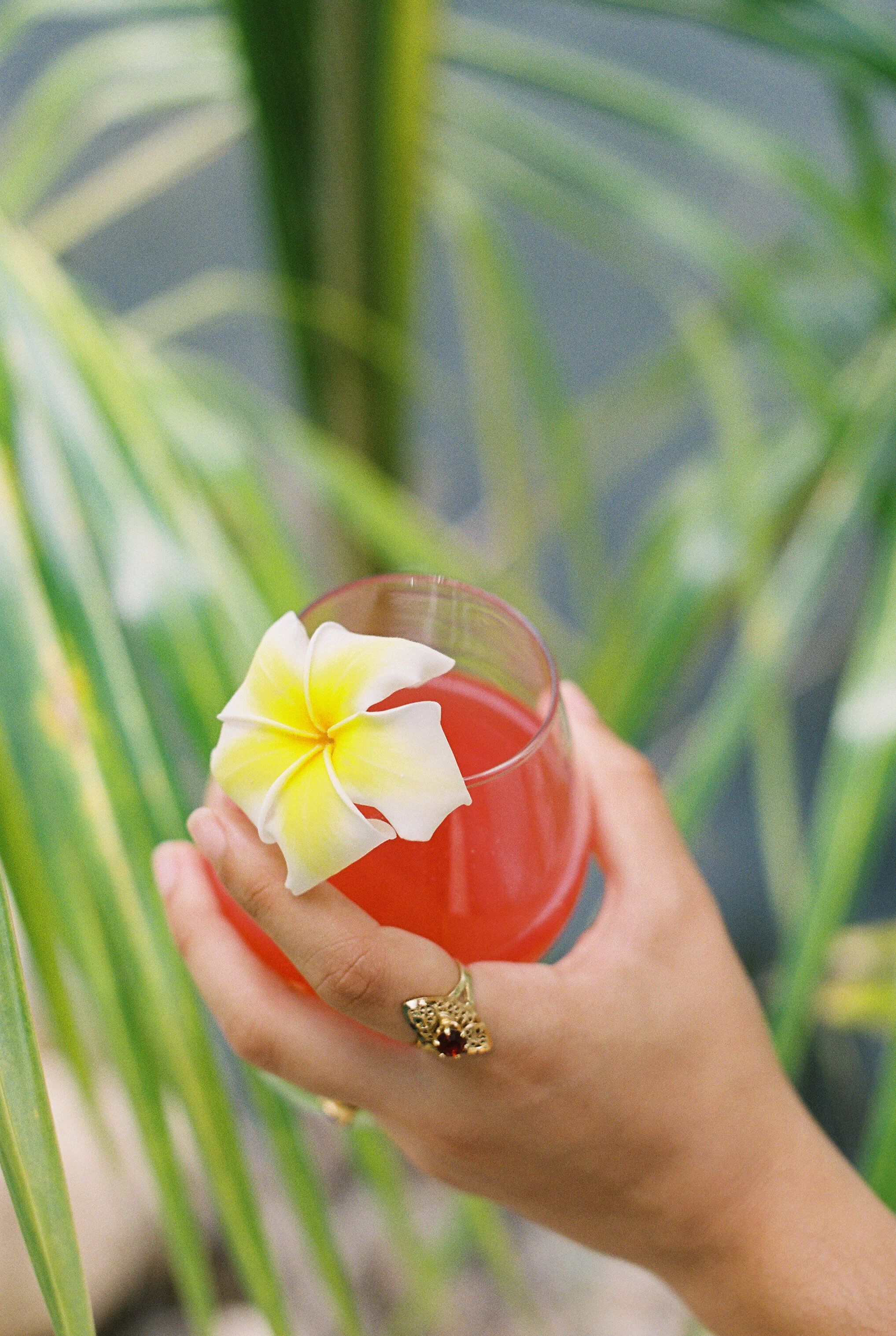 Watermelon Juice & Coconut Trees