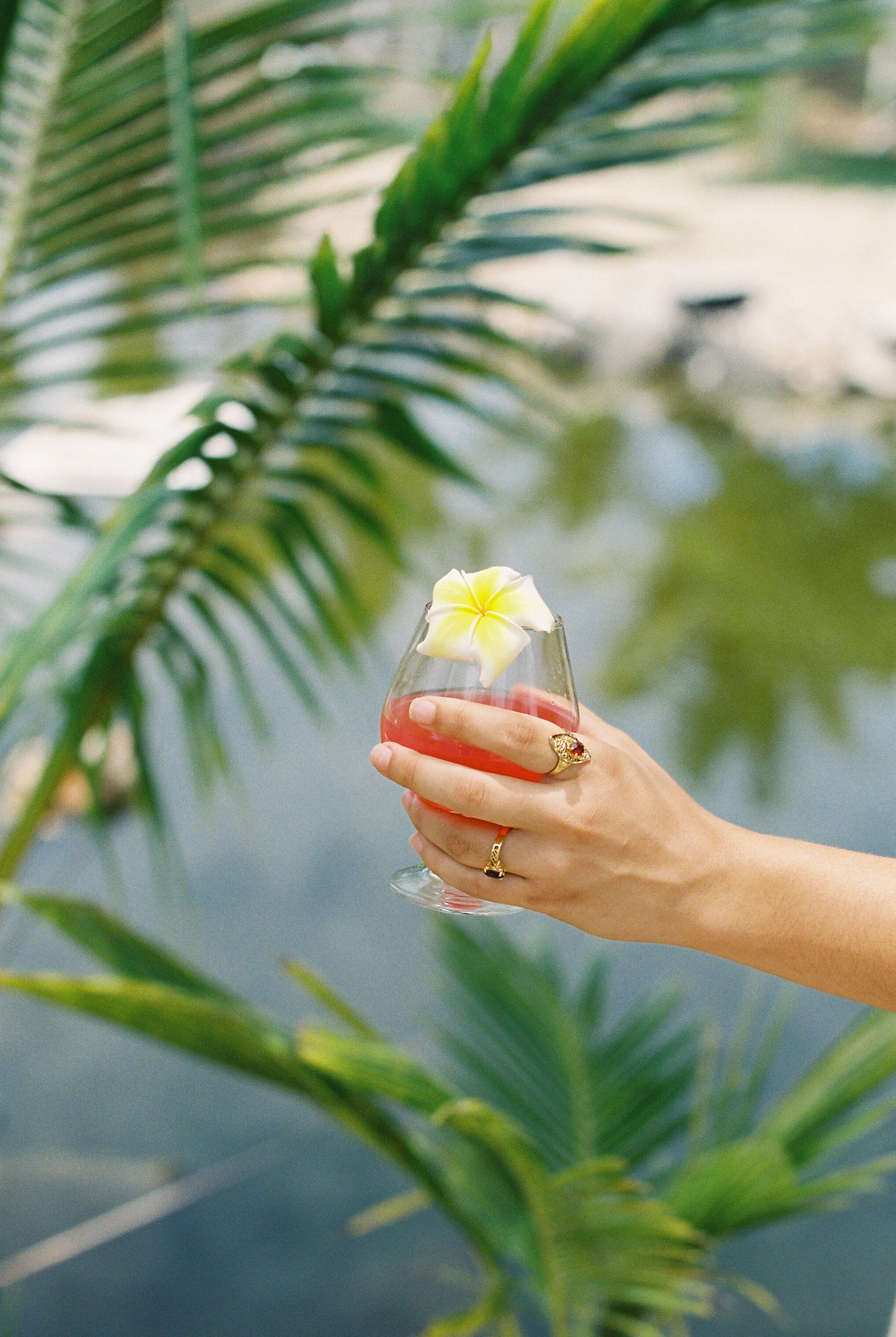 Watermelon Juice & Coconut Trees