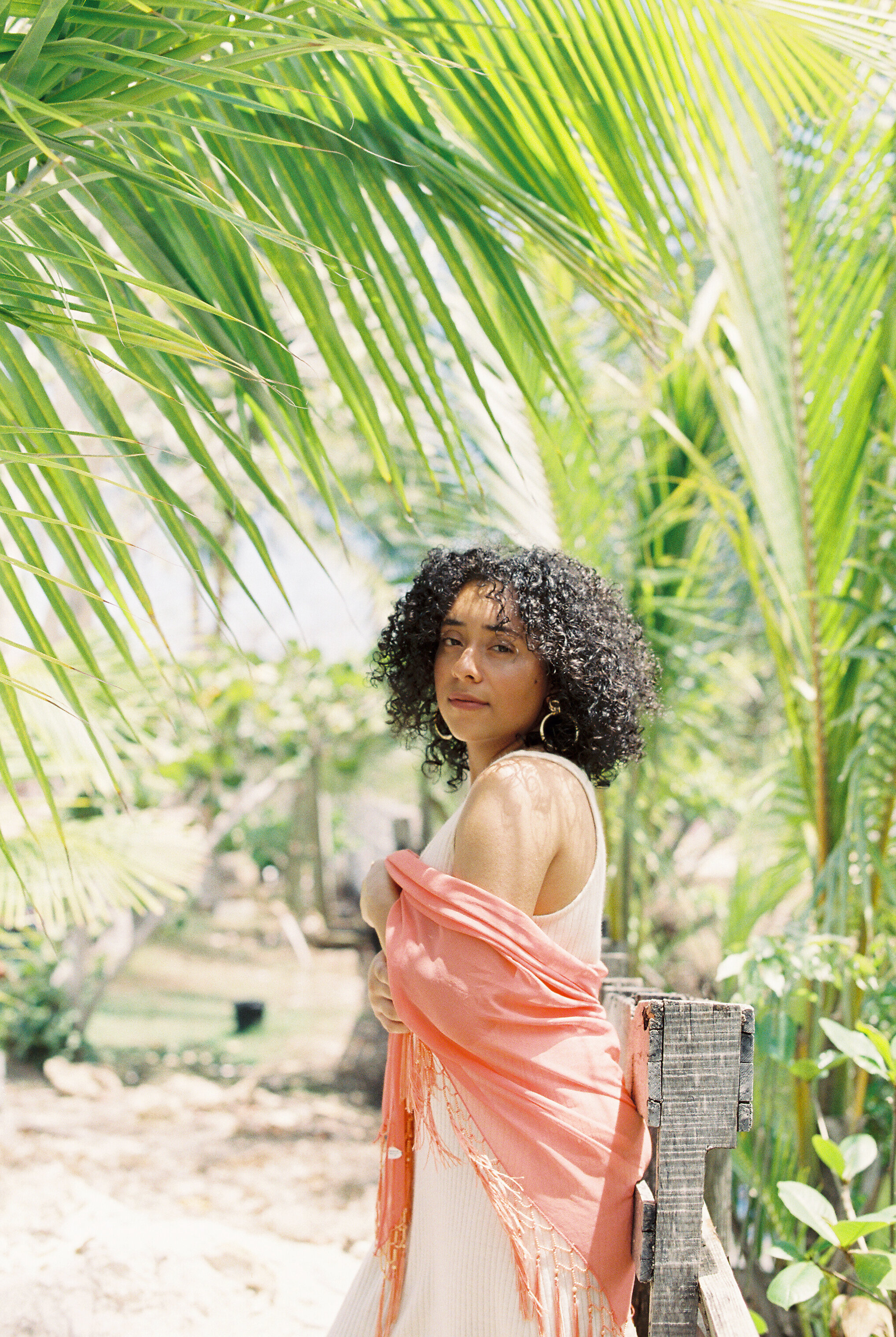 Watermelon Juice and Coconut Trees