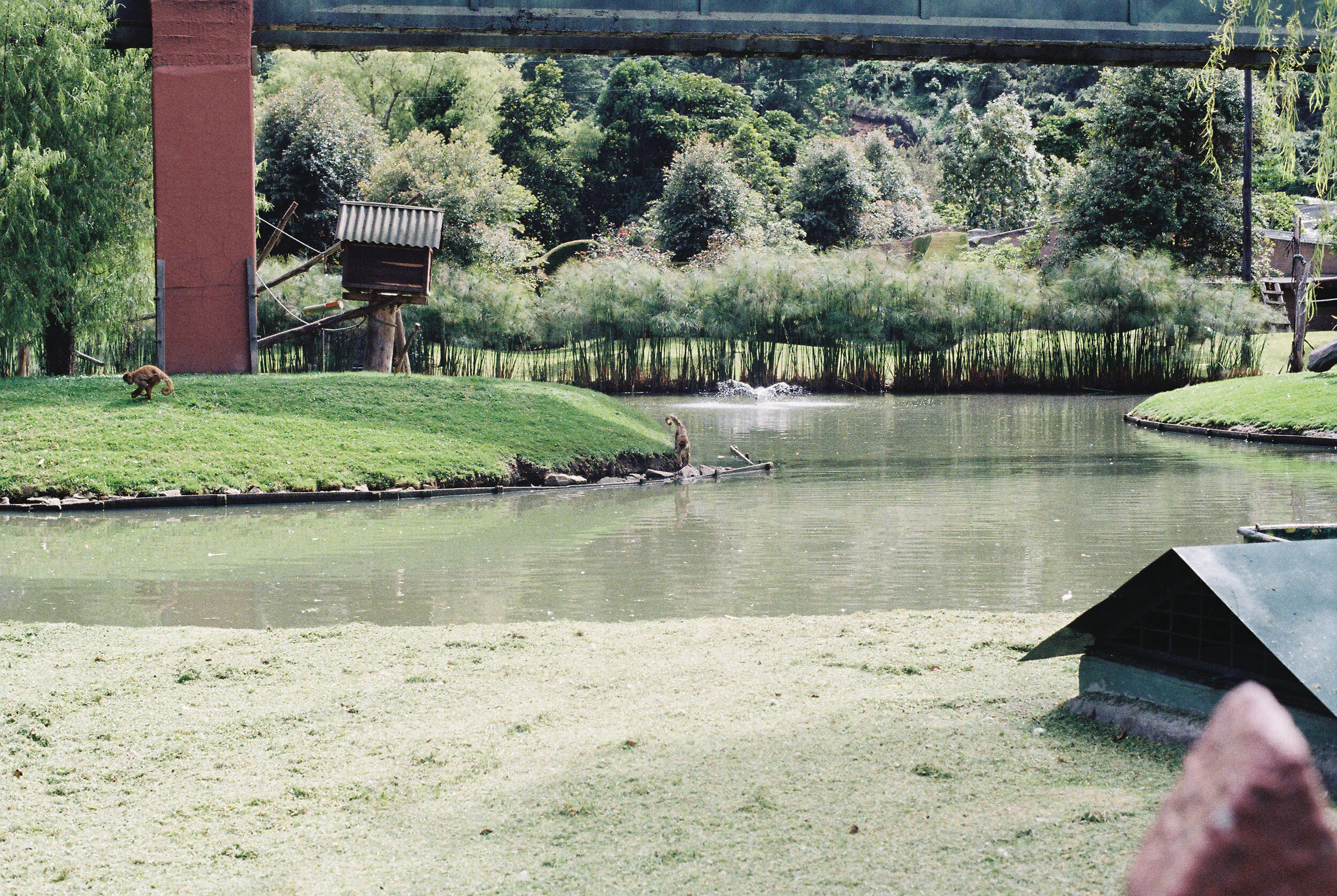 Colombia Kodak Gold 200