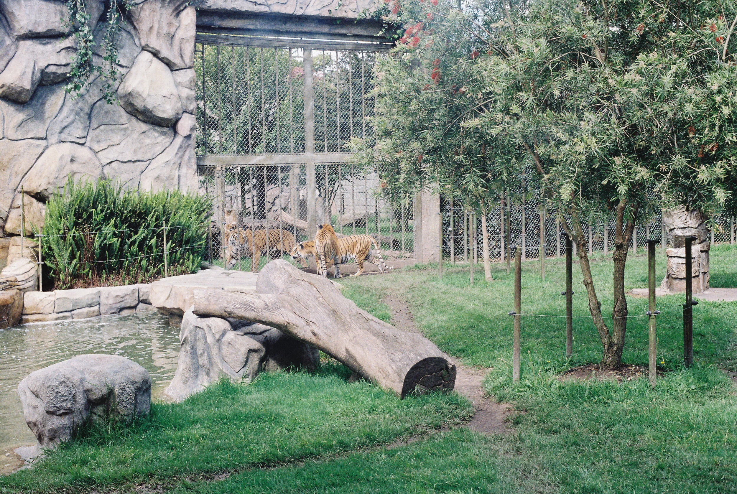 Colombia Kodak Gold 200